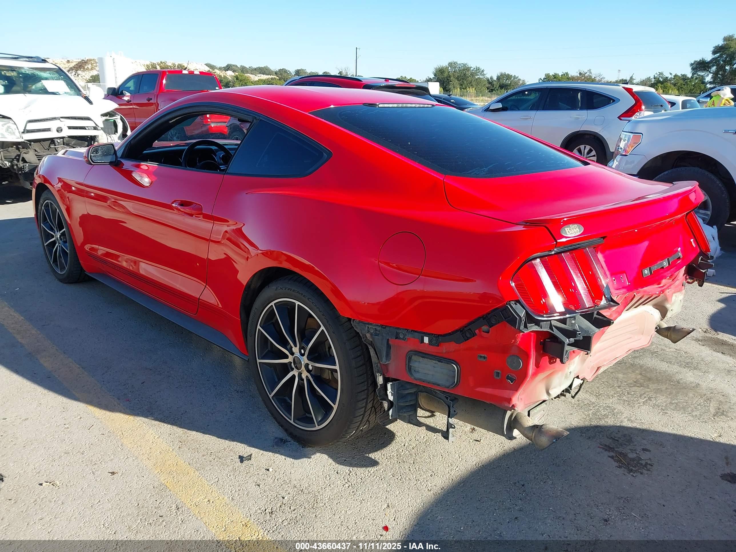 FORD MUSTANG image 3
