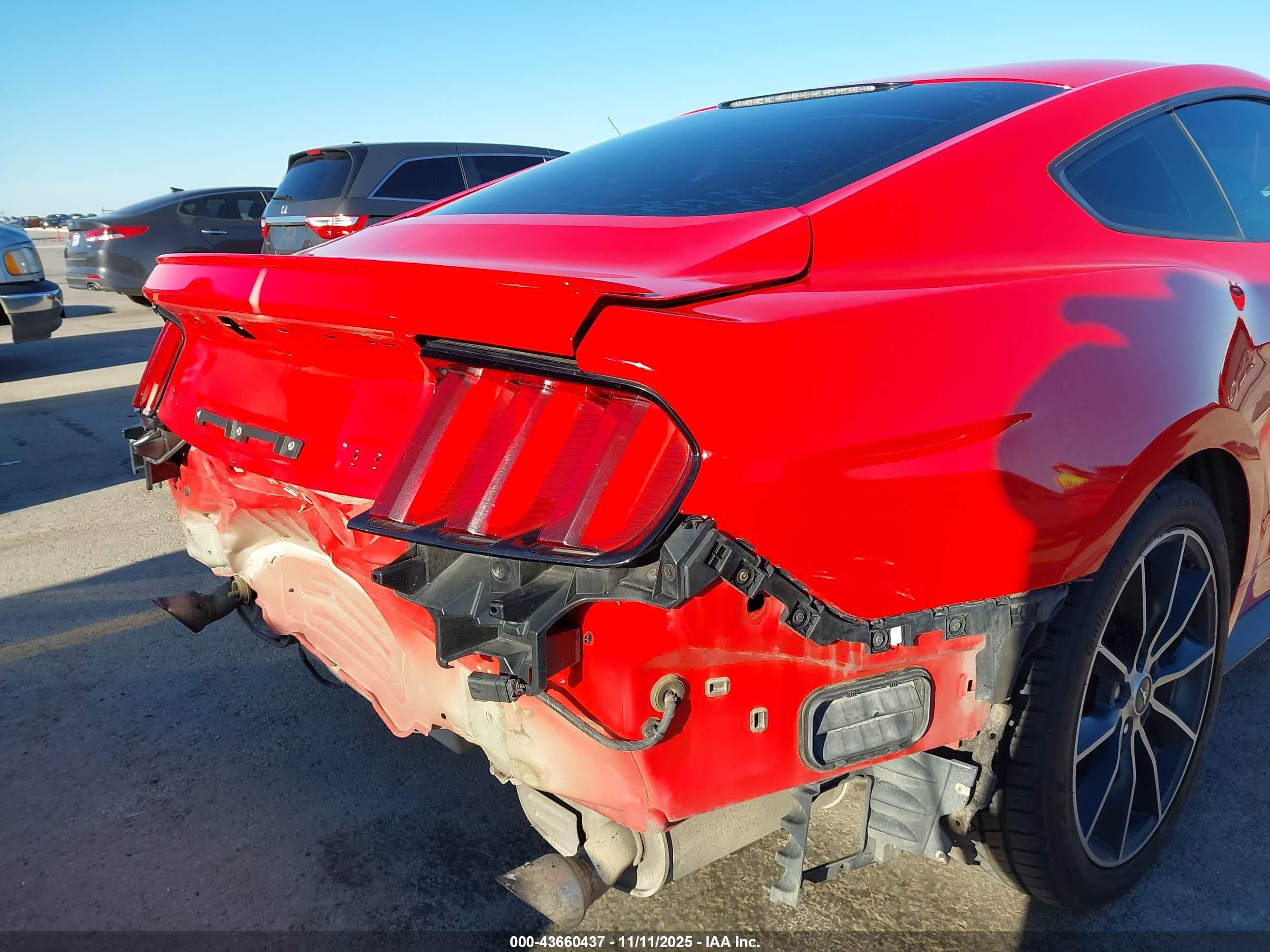 FORD MUSTANG image 6