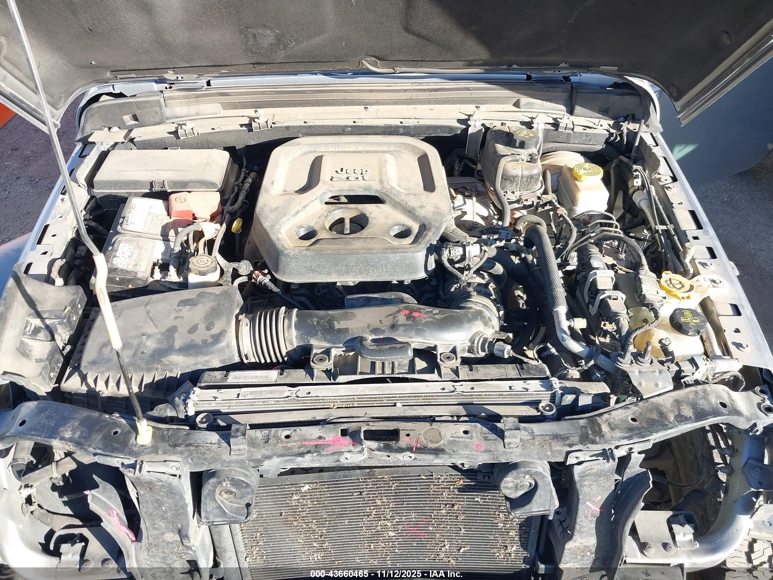 JEEP WRANGLER image 10