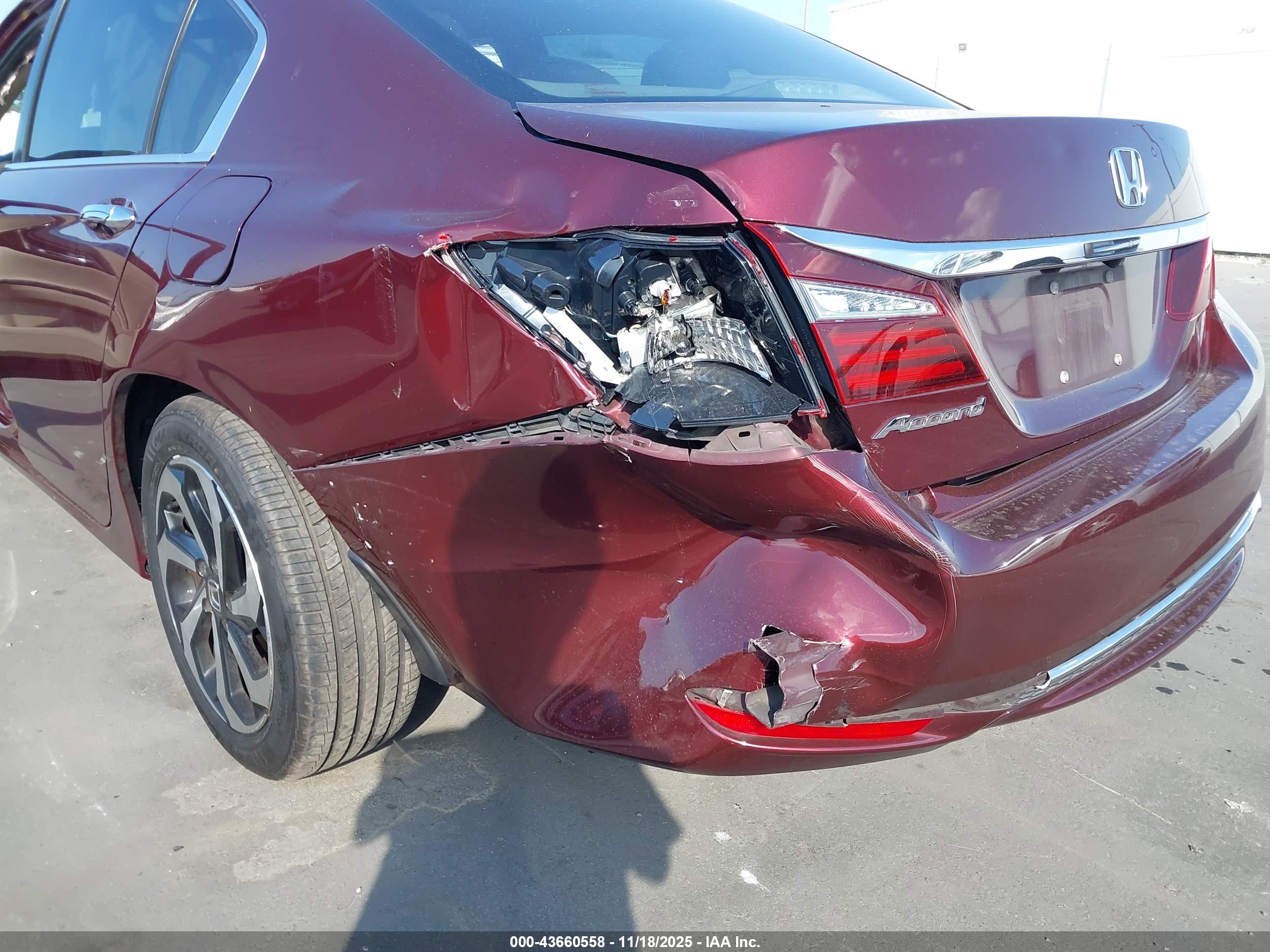 HONDA ACCORD image 6