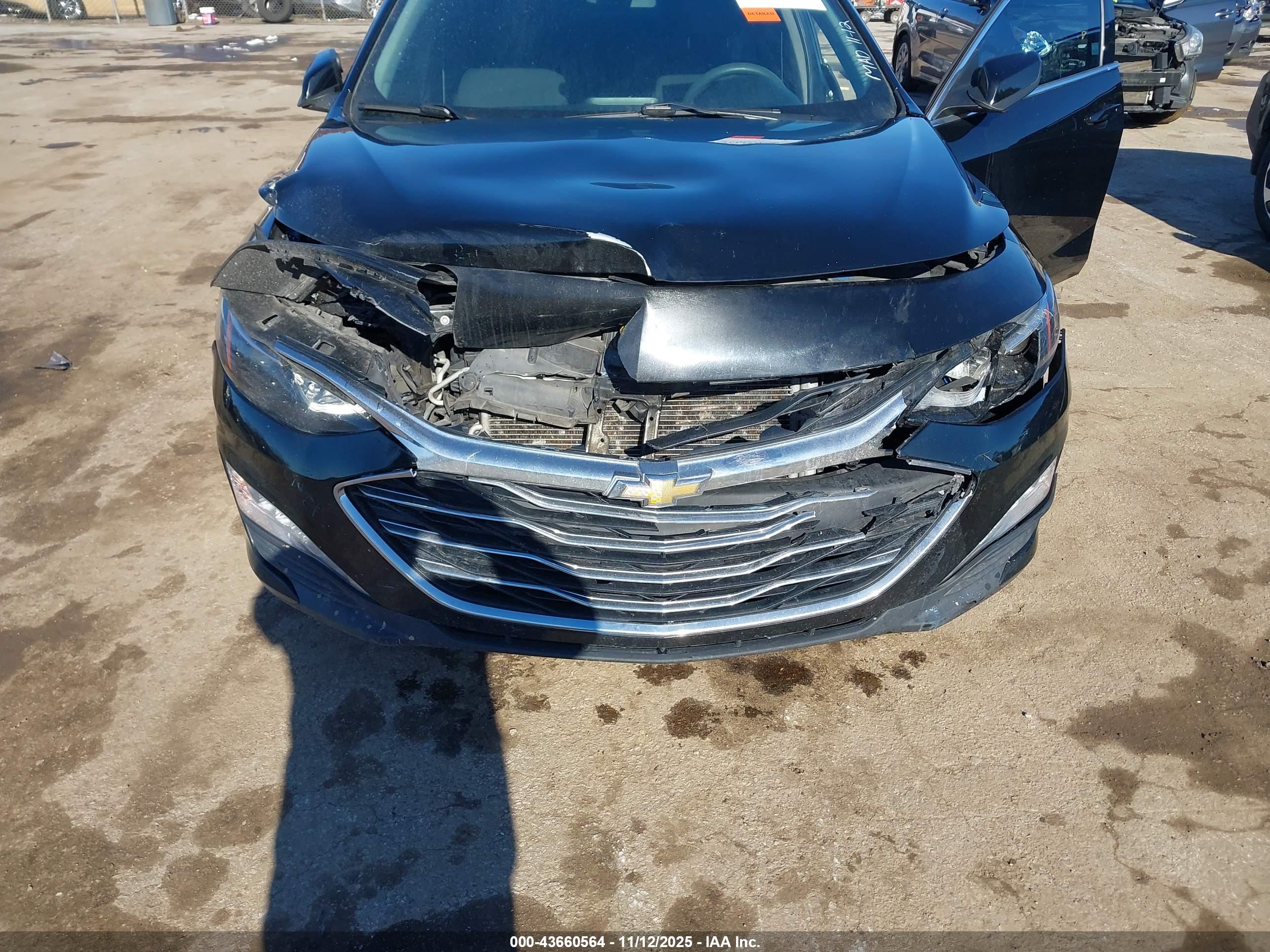 CHEVROLET MALIBU image 6