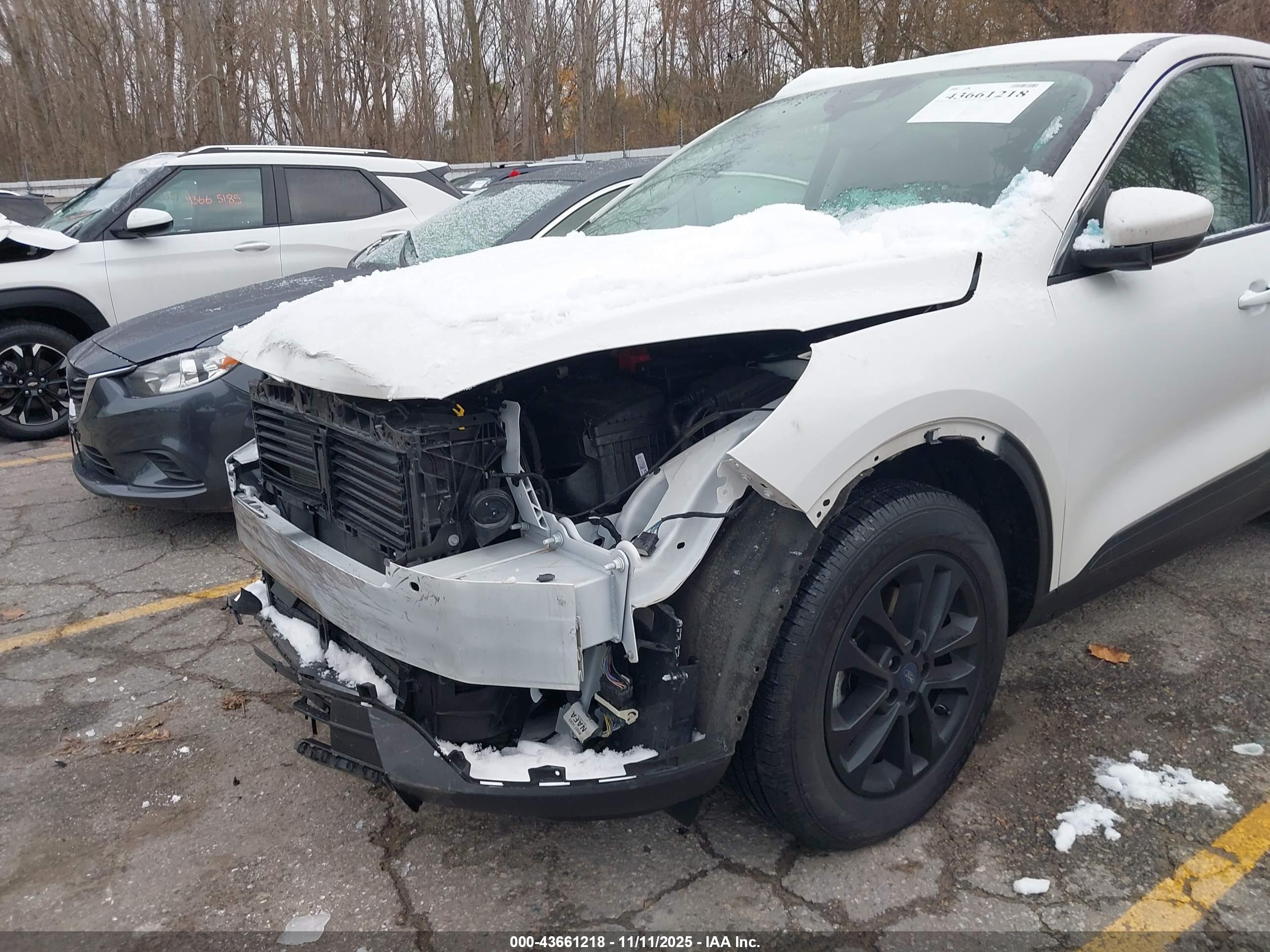 FORD ESCAPE image 6