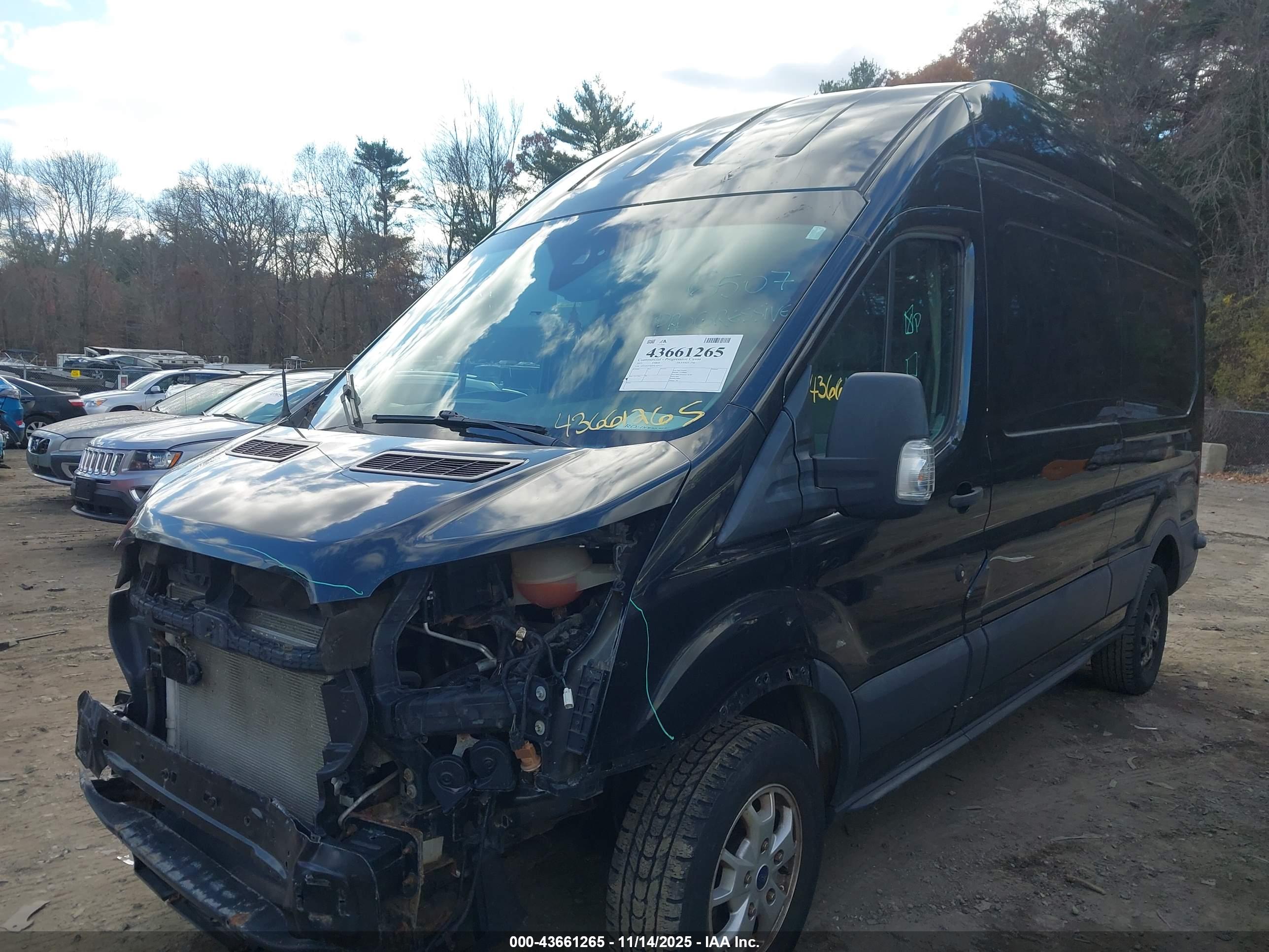 FORD TRANSIT-250 image 2