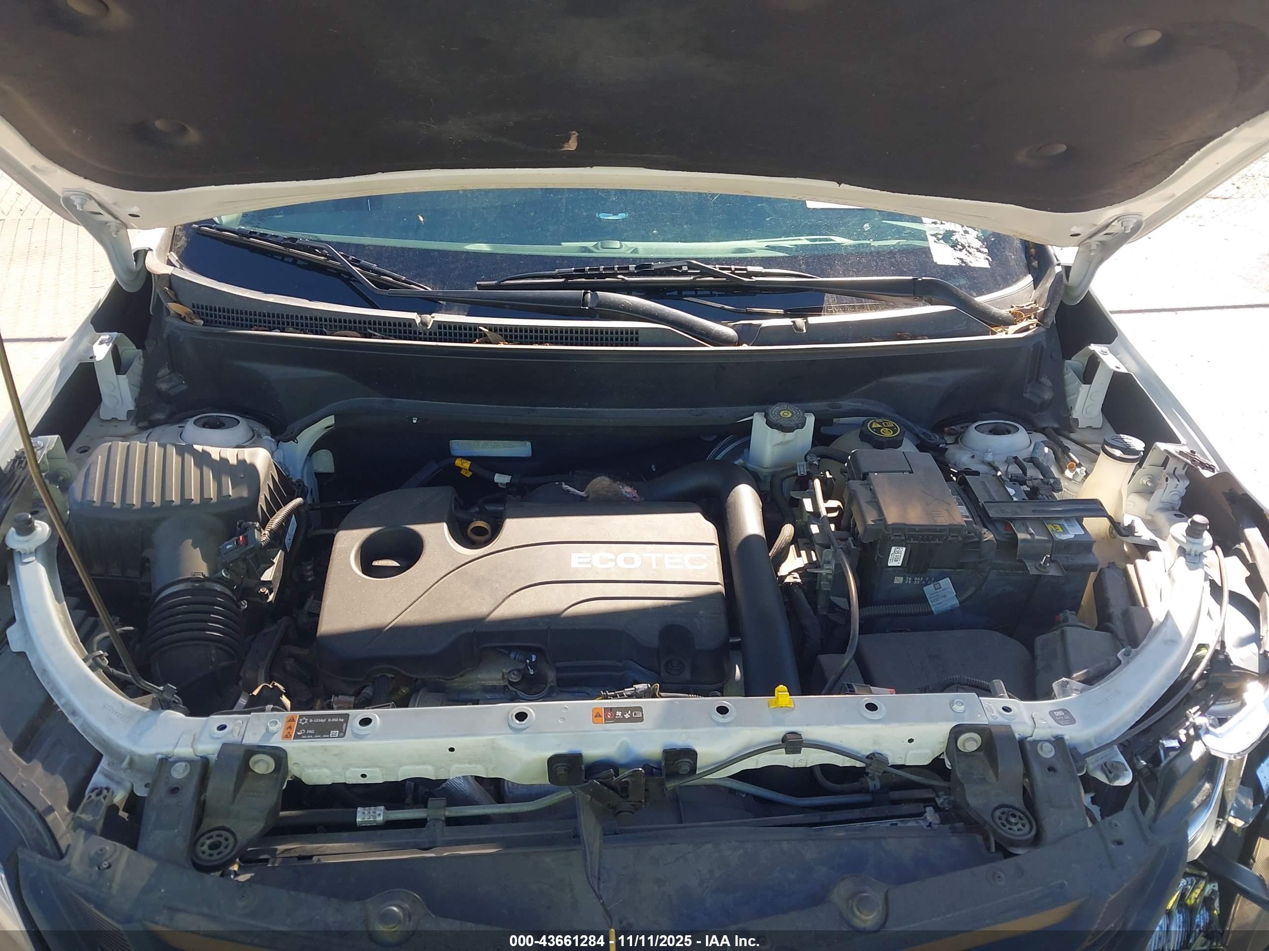 CHEVROLET EQUINOX image 10