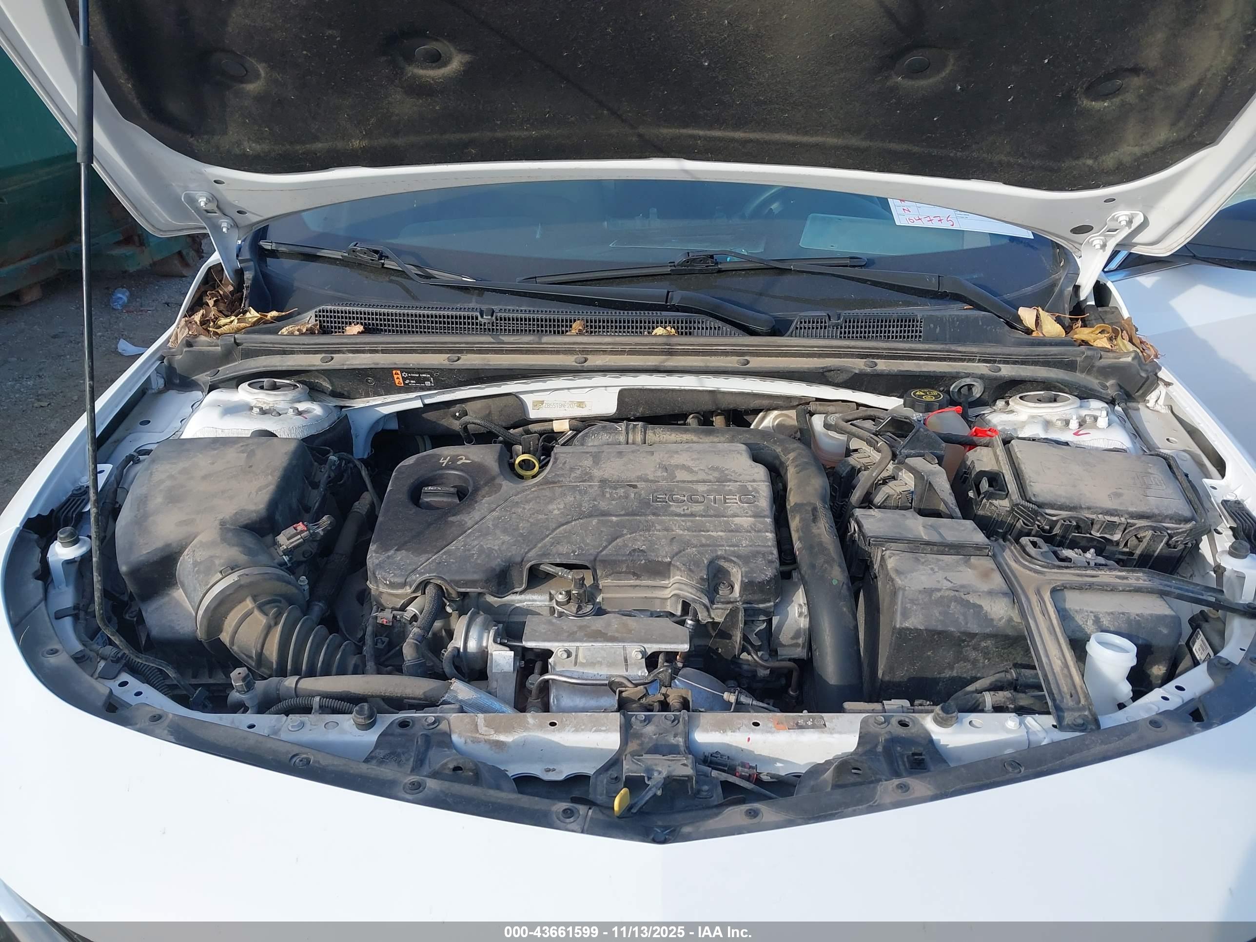 CHEVROLET MALIBU image 10