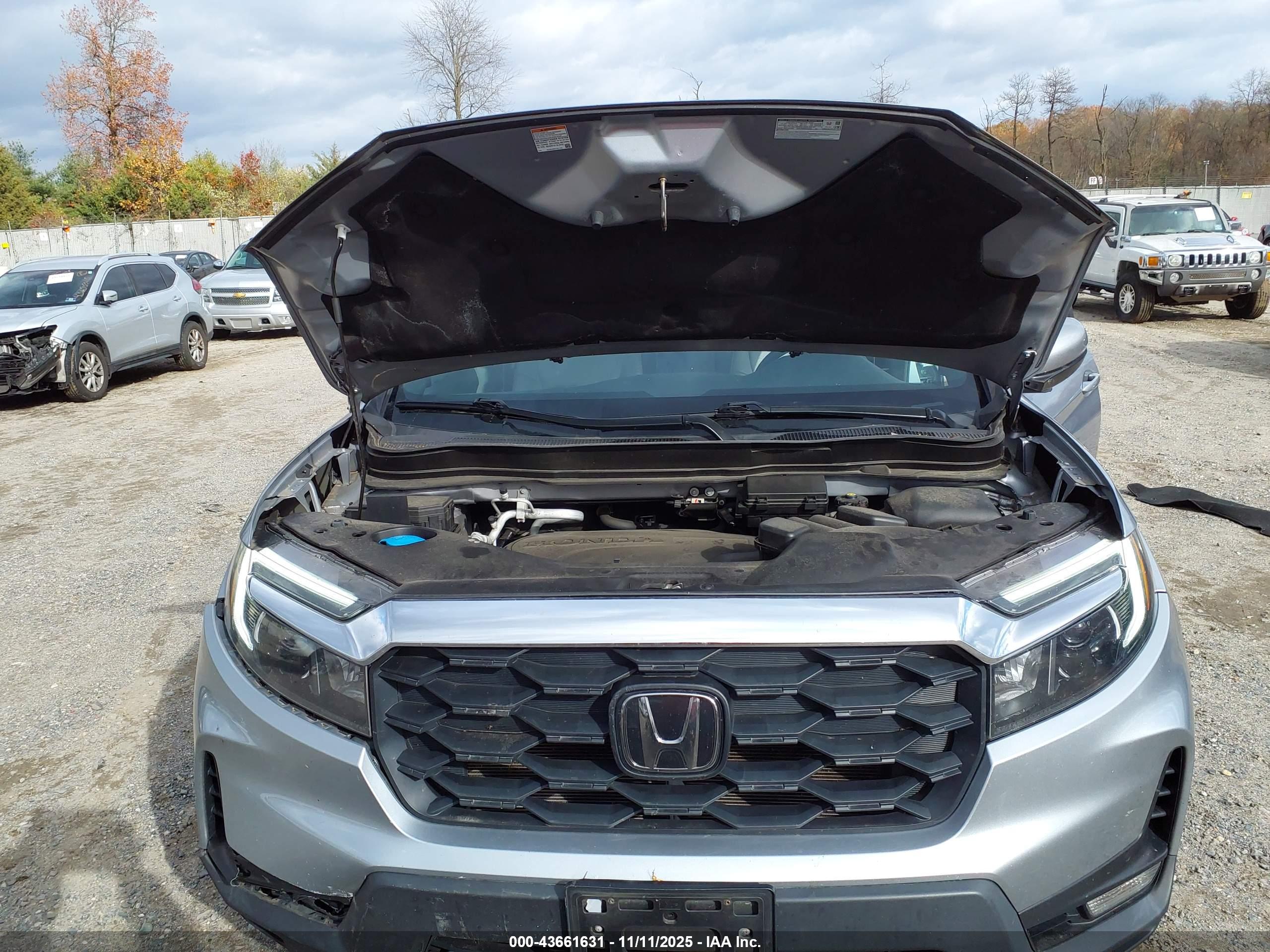 HONDA PASSPORT image 10