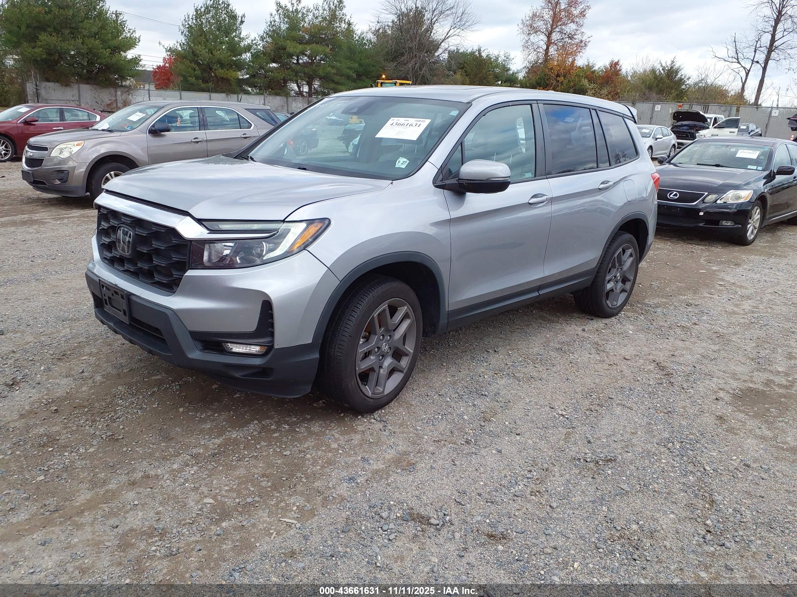 HONDA PASSPORT image 2