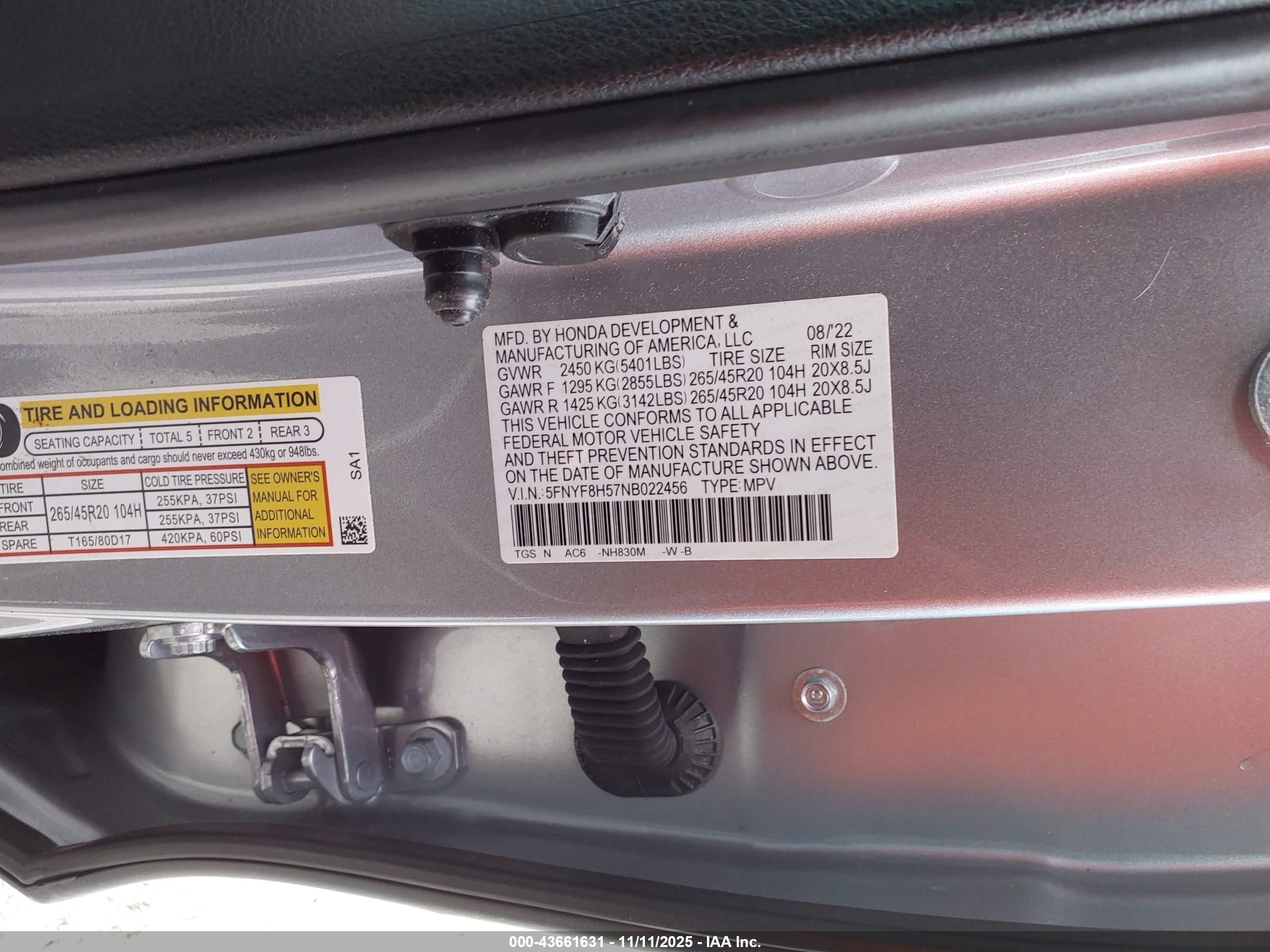 HONDA PASSPORT image 9