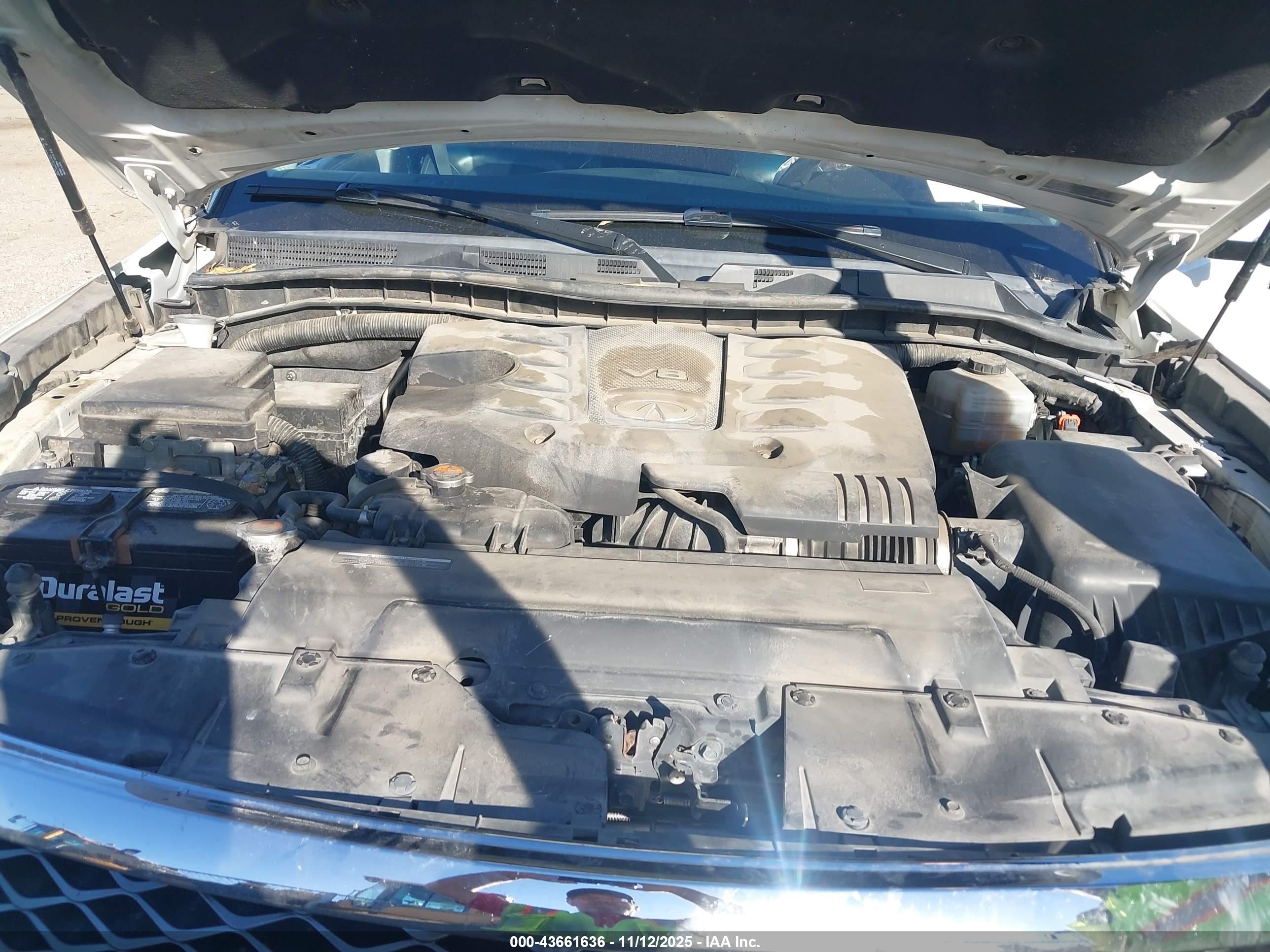 INFINITI QX80 image 10