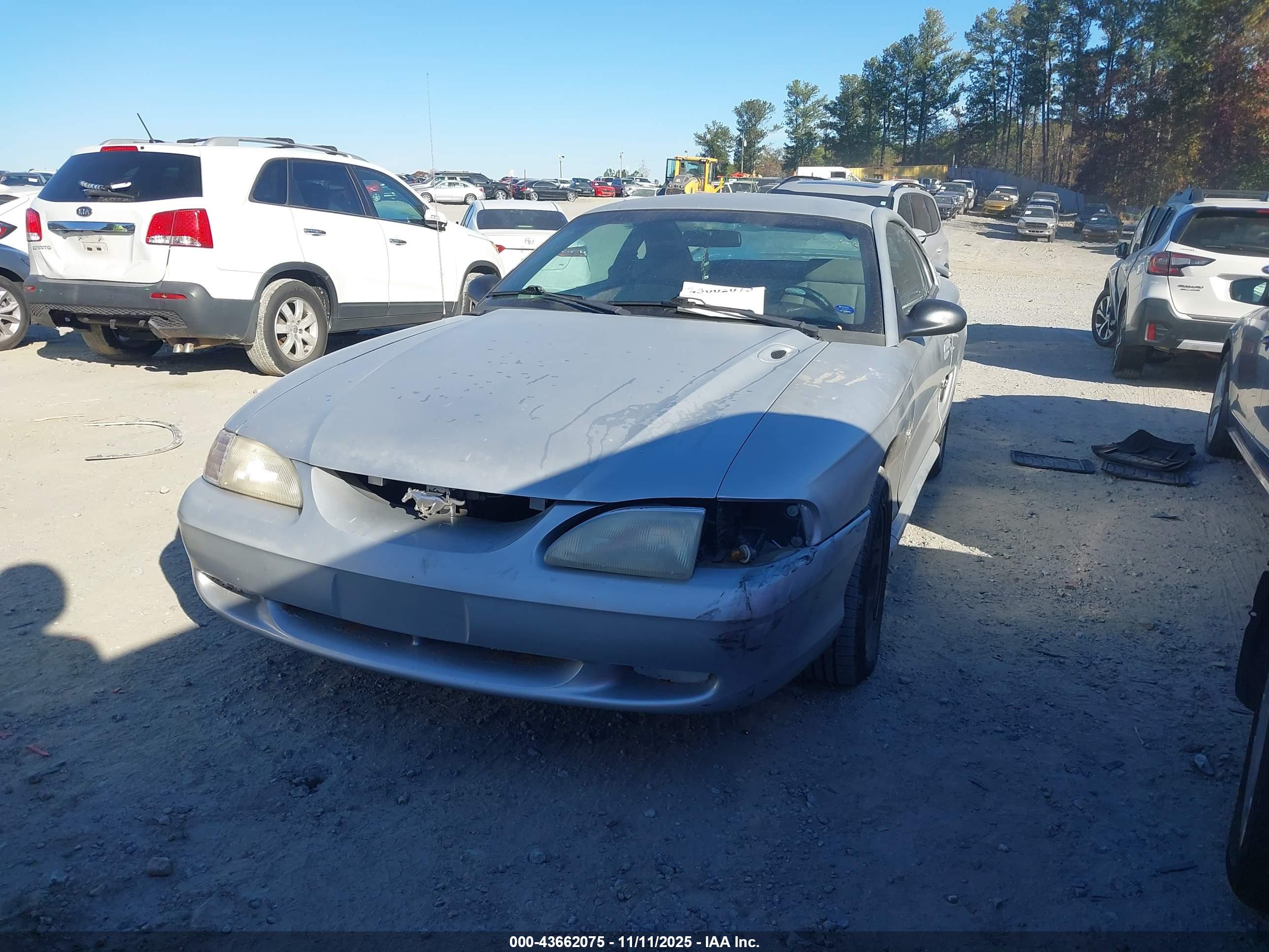 FORD MUSTANG image 2