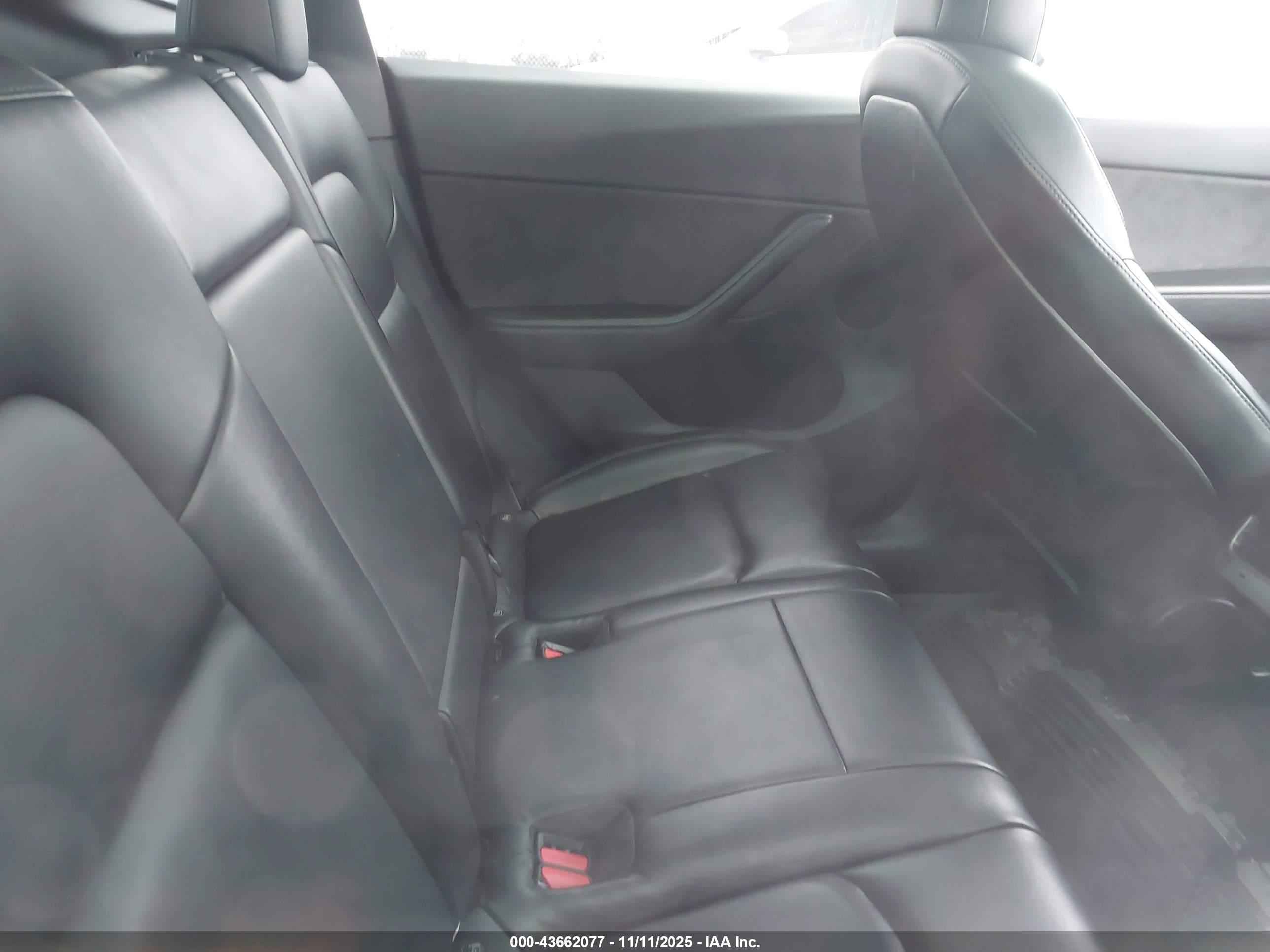 TESLA MODEL image 8