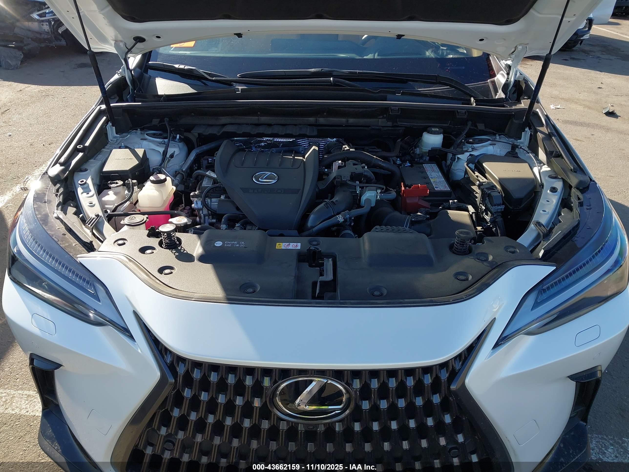 LEXUS NX image 10