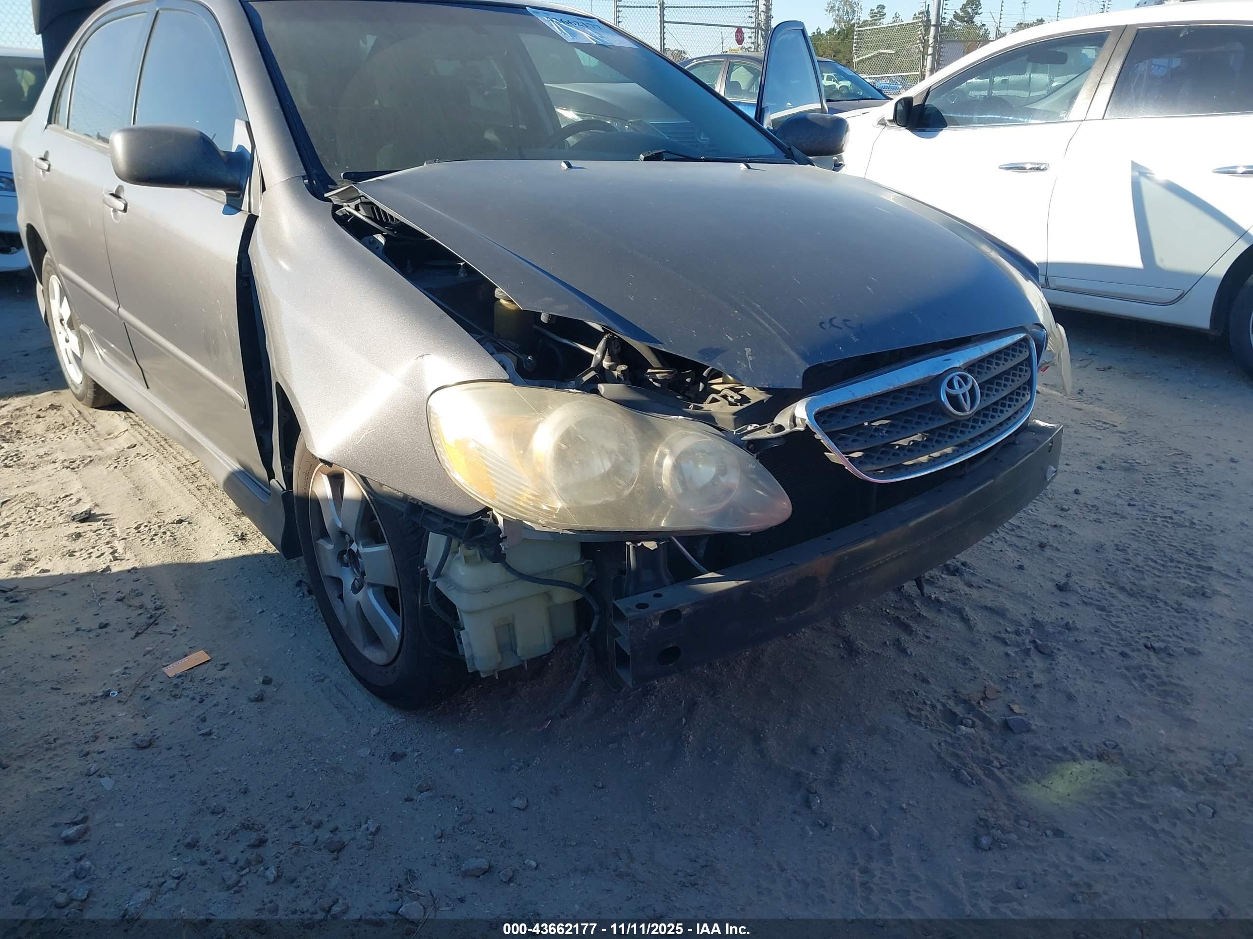 TOYOTA COROLLA image 6