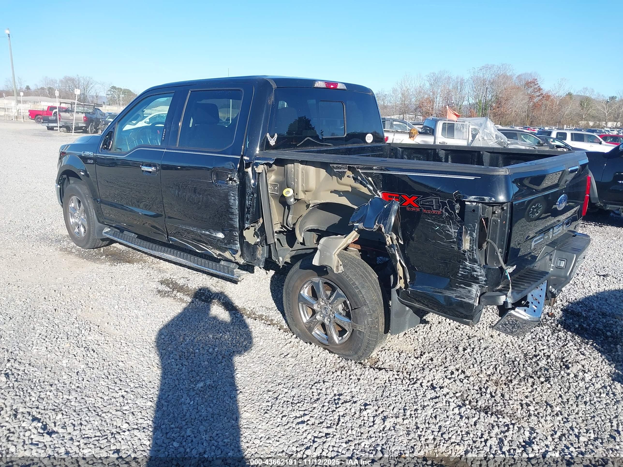 FORD F-150 image 3