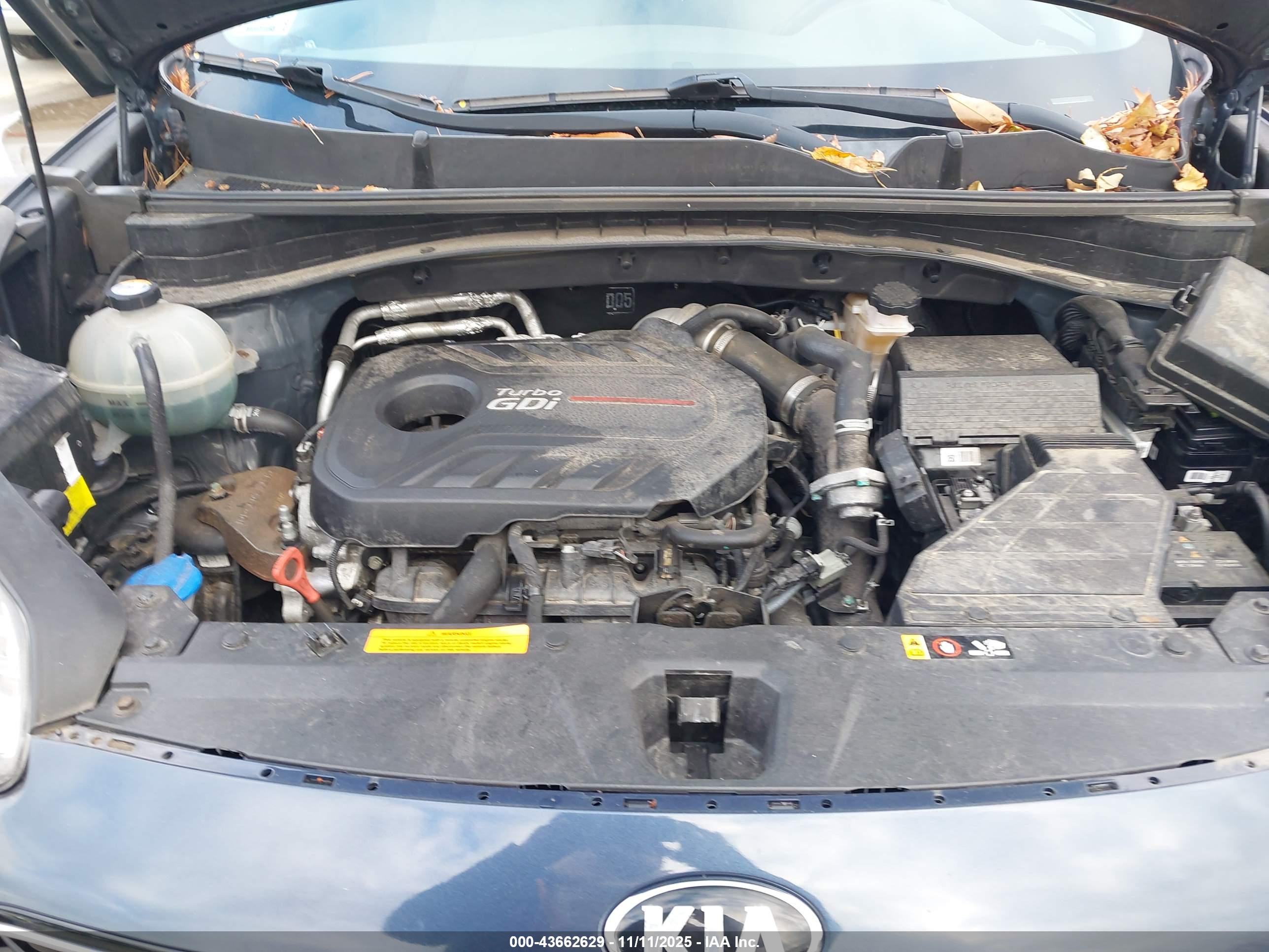 KIA SPORTAGE image 10