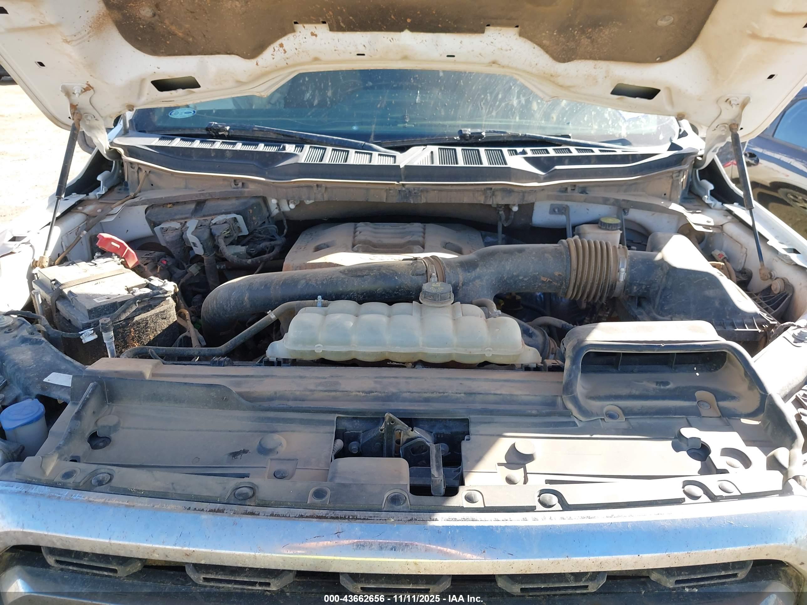 FORD F-150 image 10