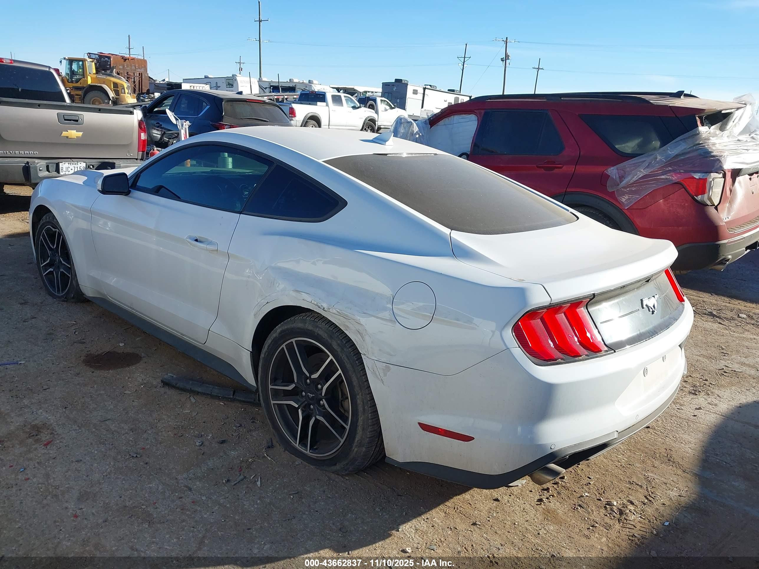 FORD MUSTANG image 3