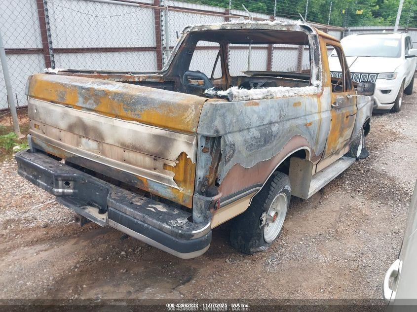 FORD BRONCO image 4
