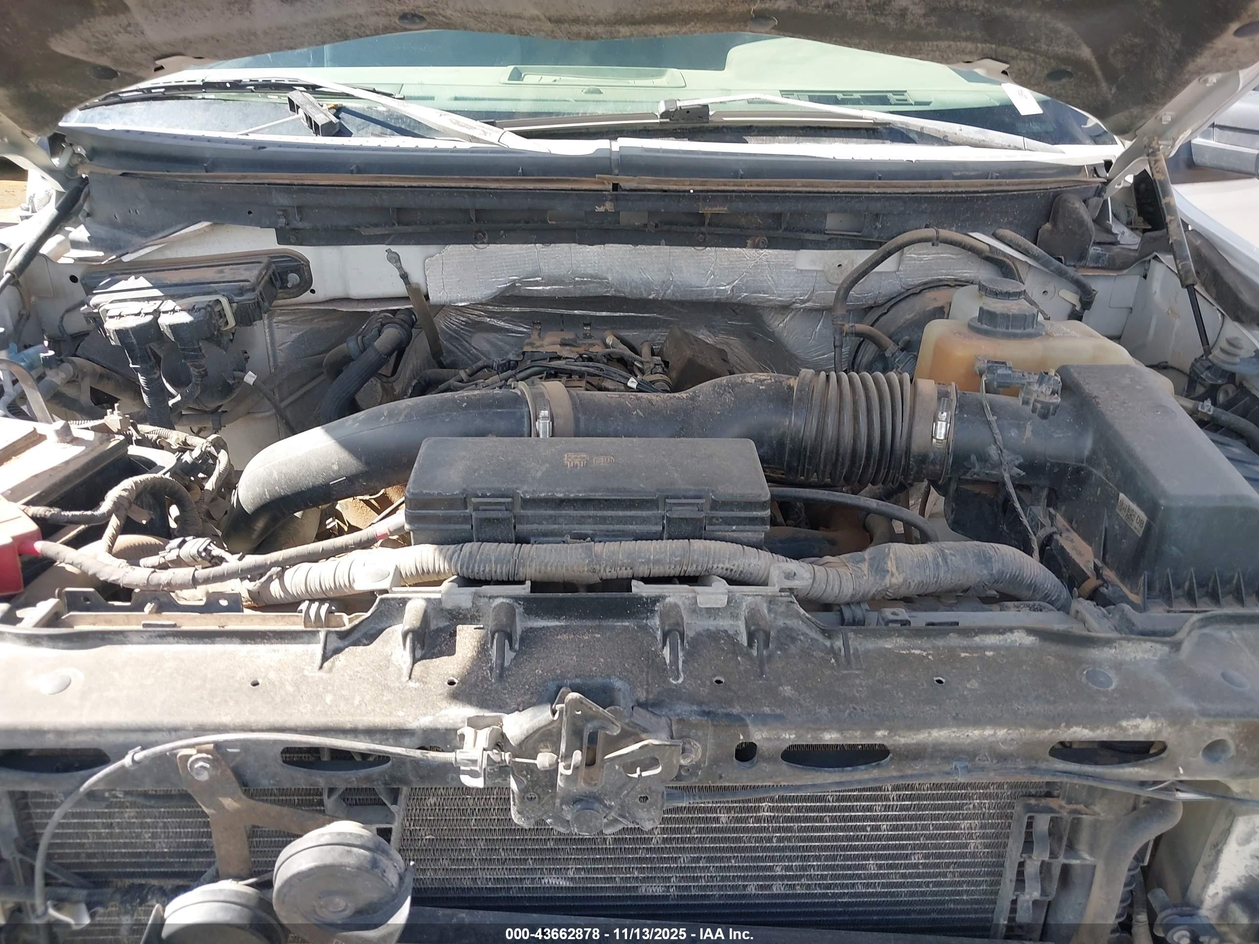 FORD F-150 image 10