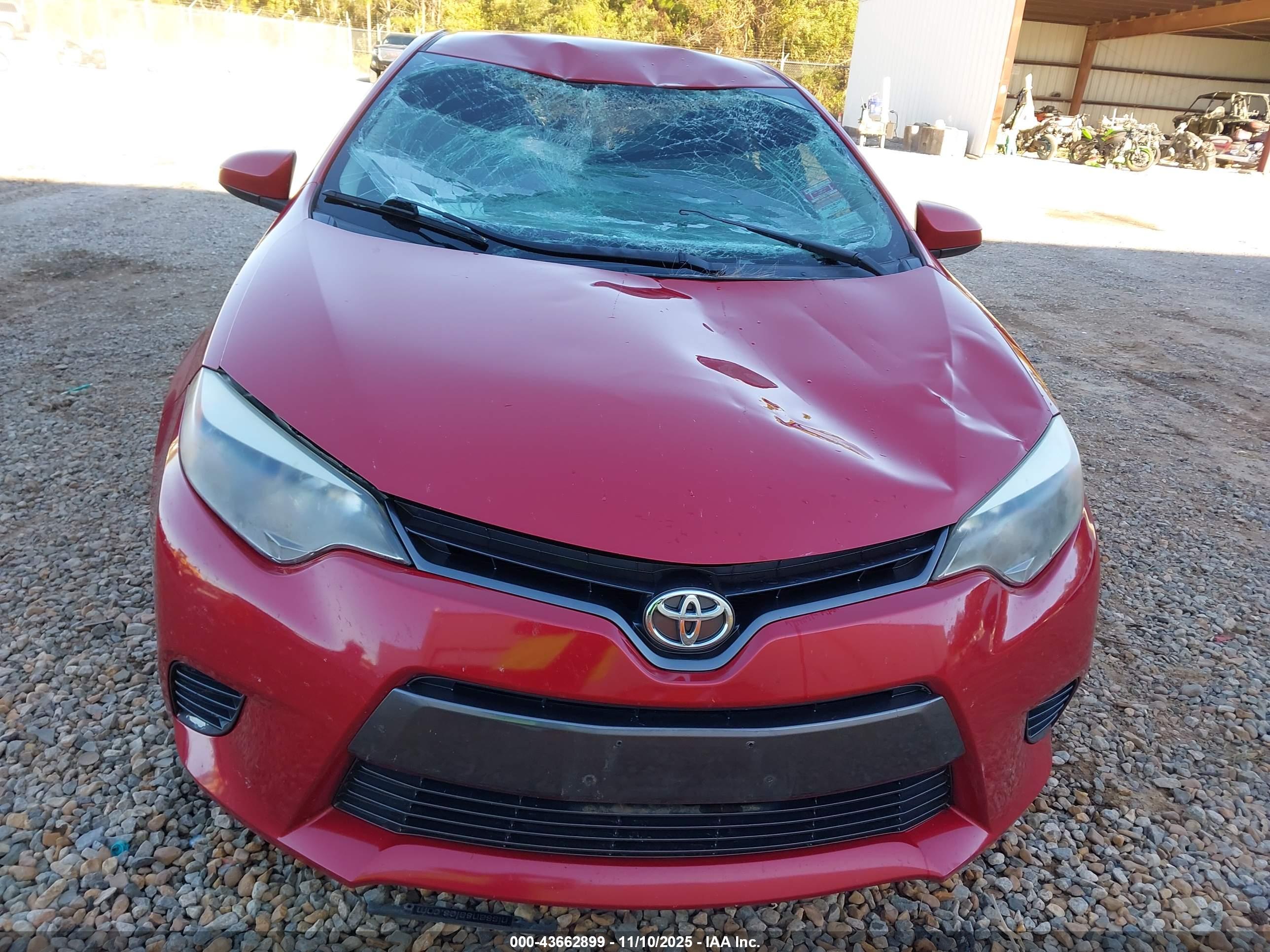 TOYOTA COROLLA image 6