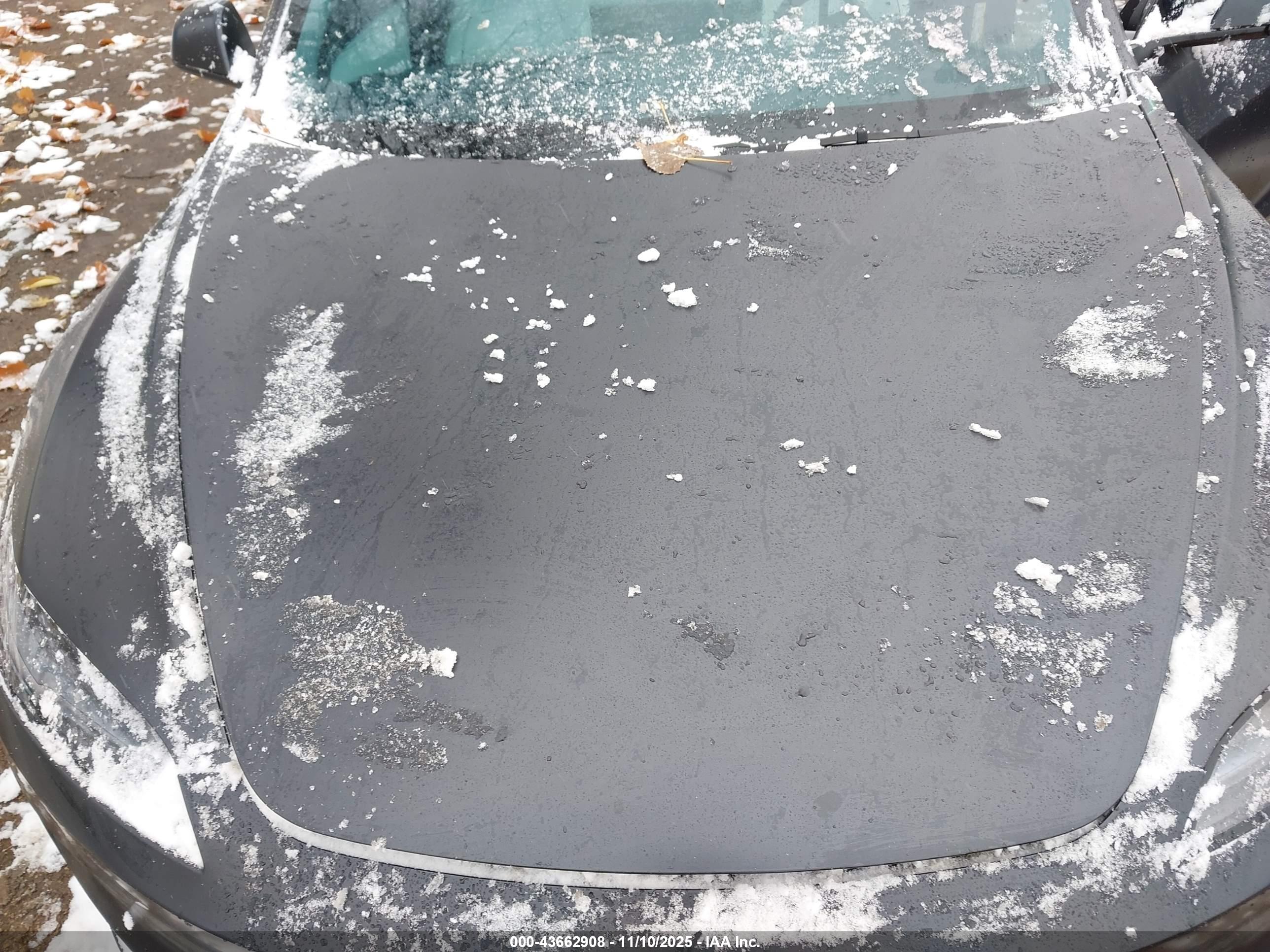 TESLA MODEL image 10