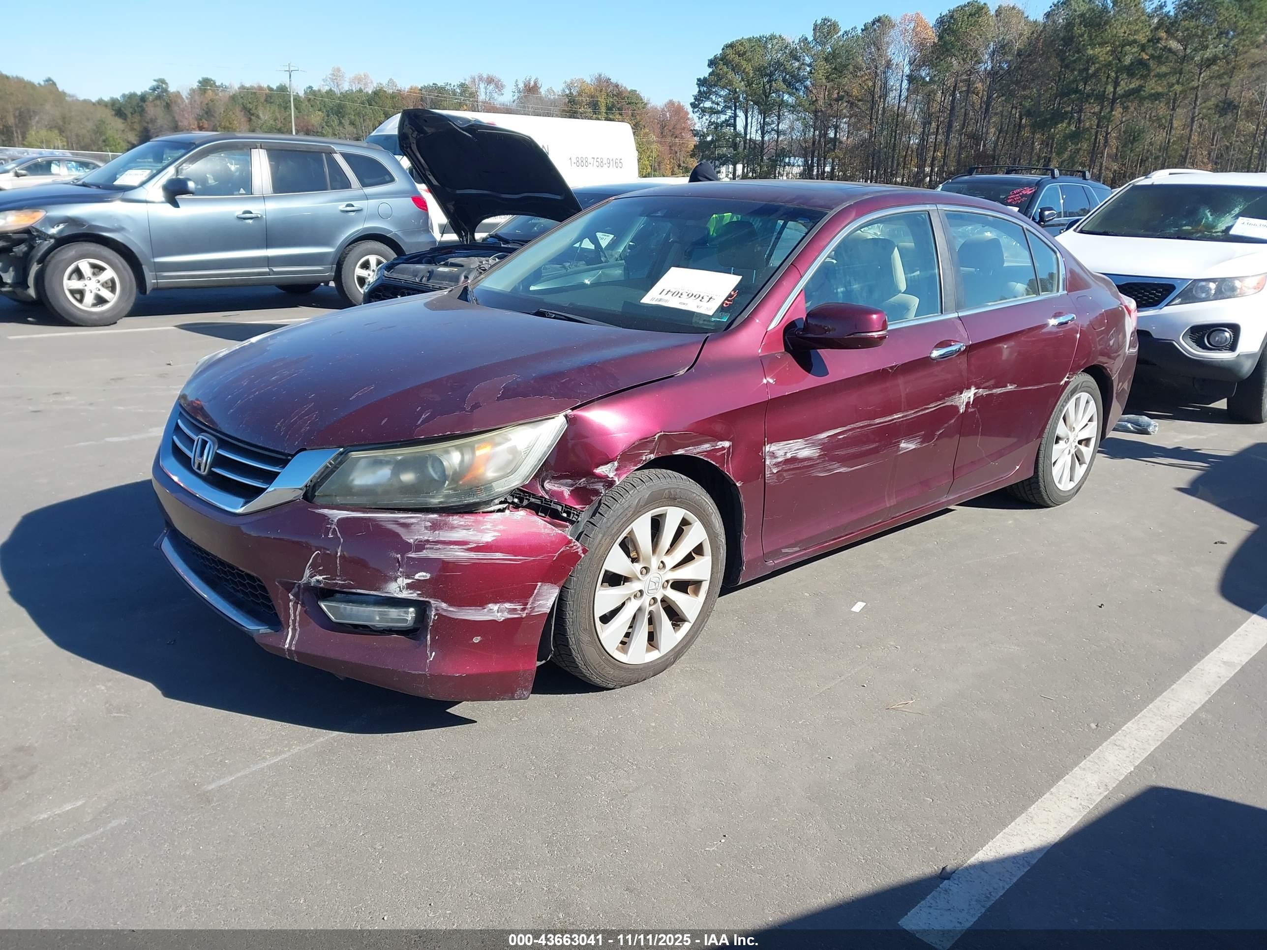 HONDA ACCORD image 2