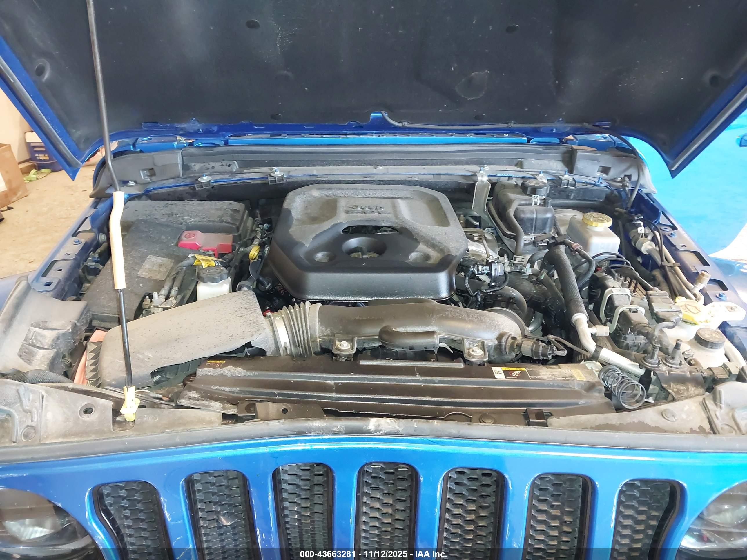 JEEP WRANGLER image 10