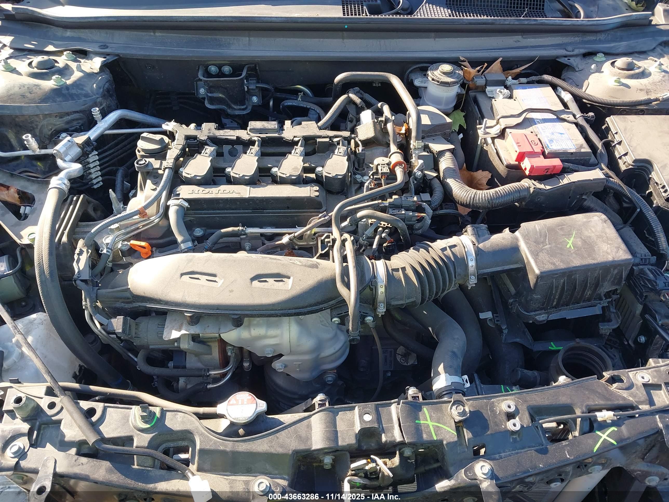 HONDA ACCORD image 10