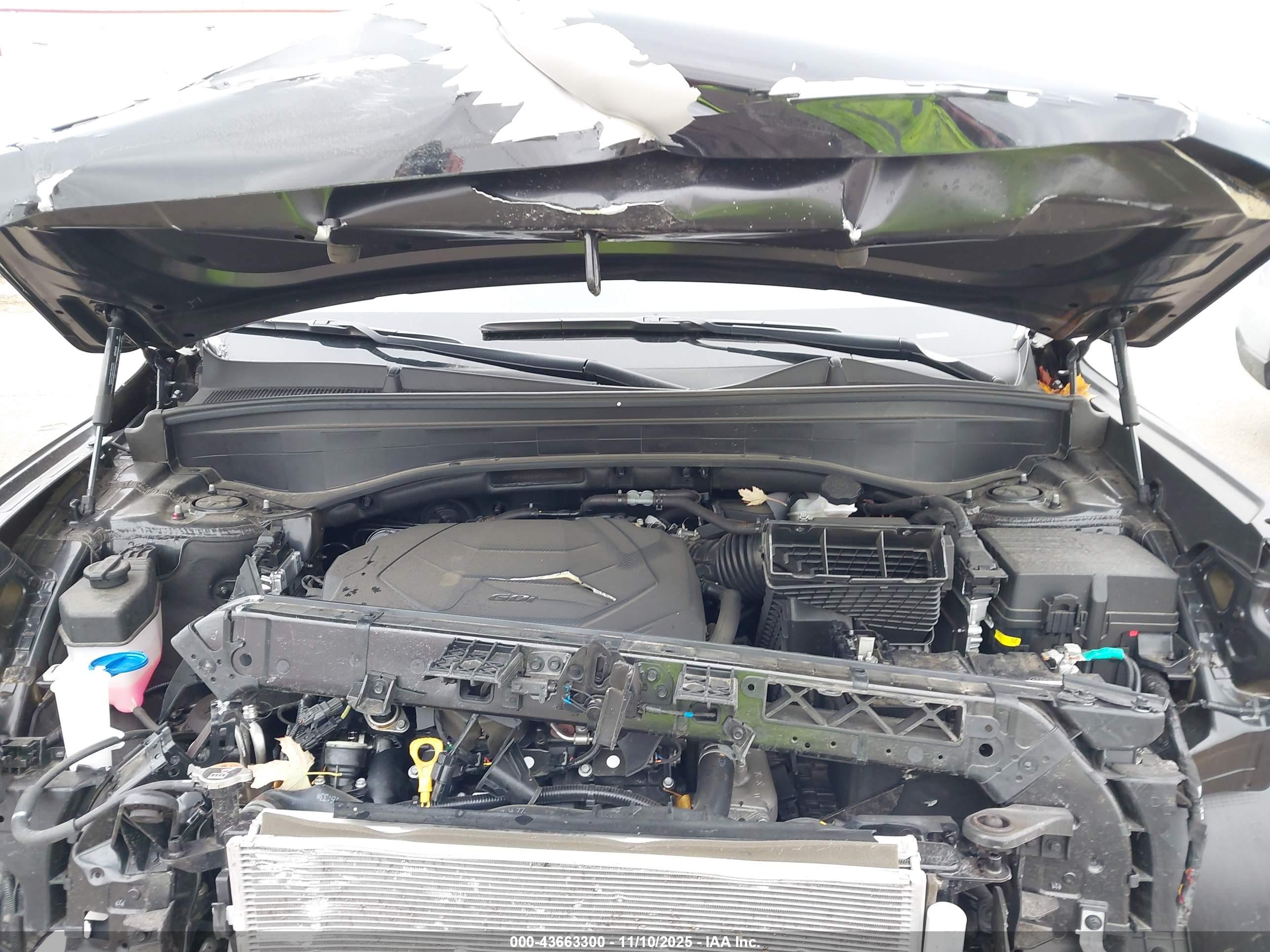HYUNDAI PALISADE image 10
