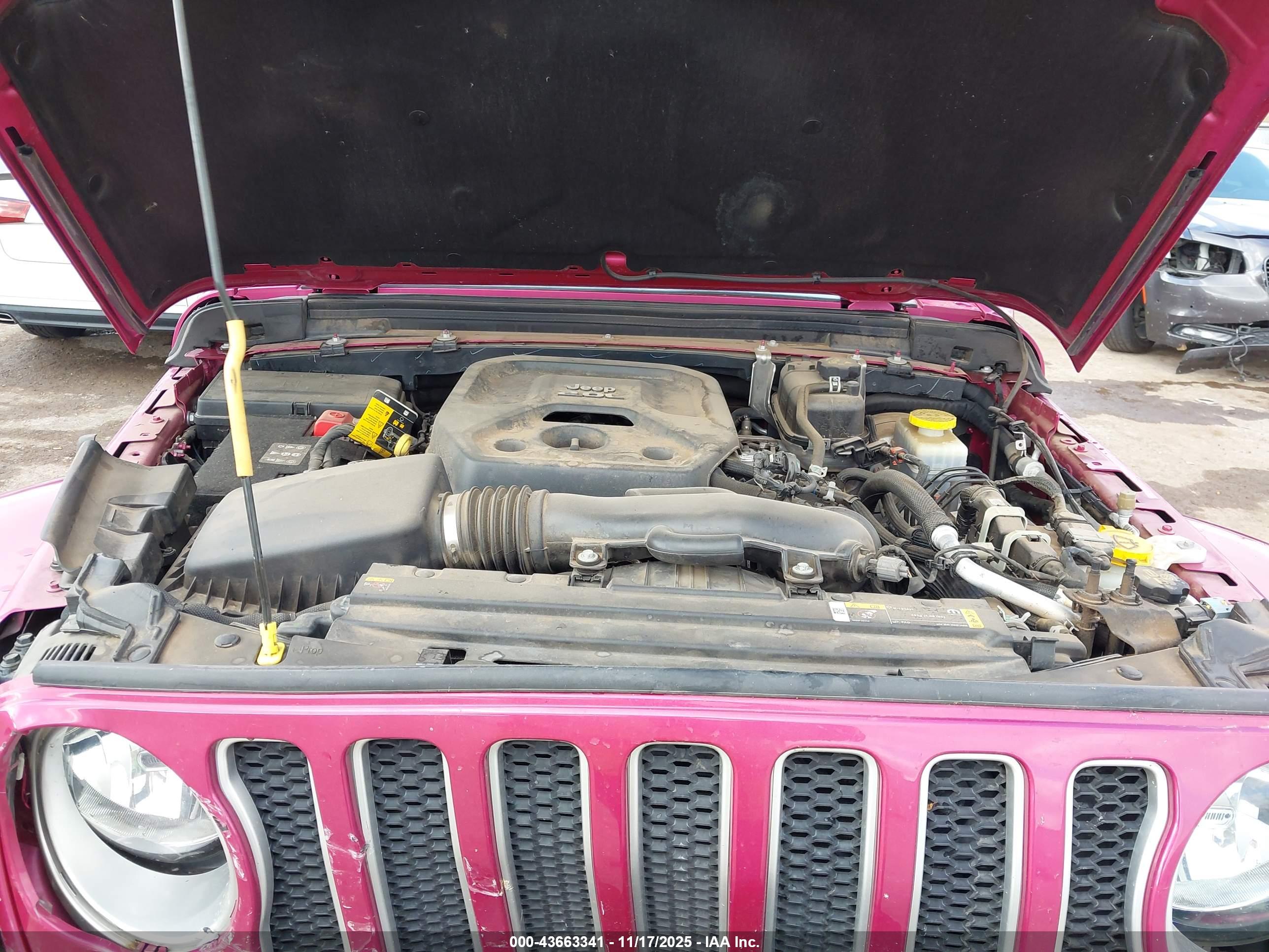 JEEP WRANGLER image 10