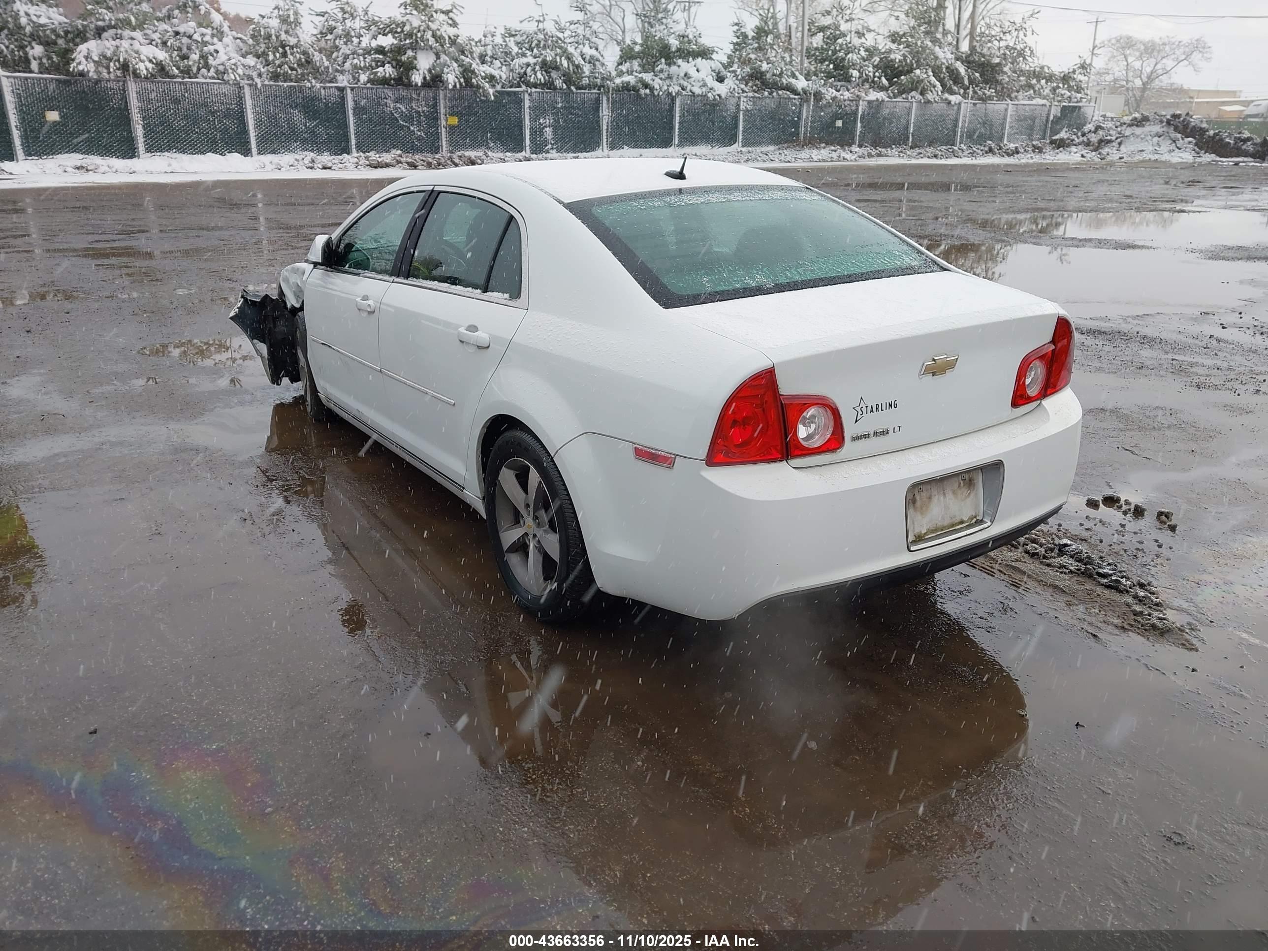 CHEVROLET MALIBU image 3