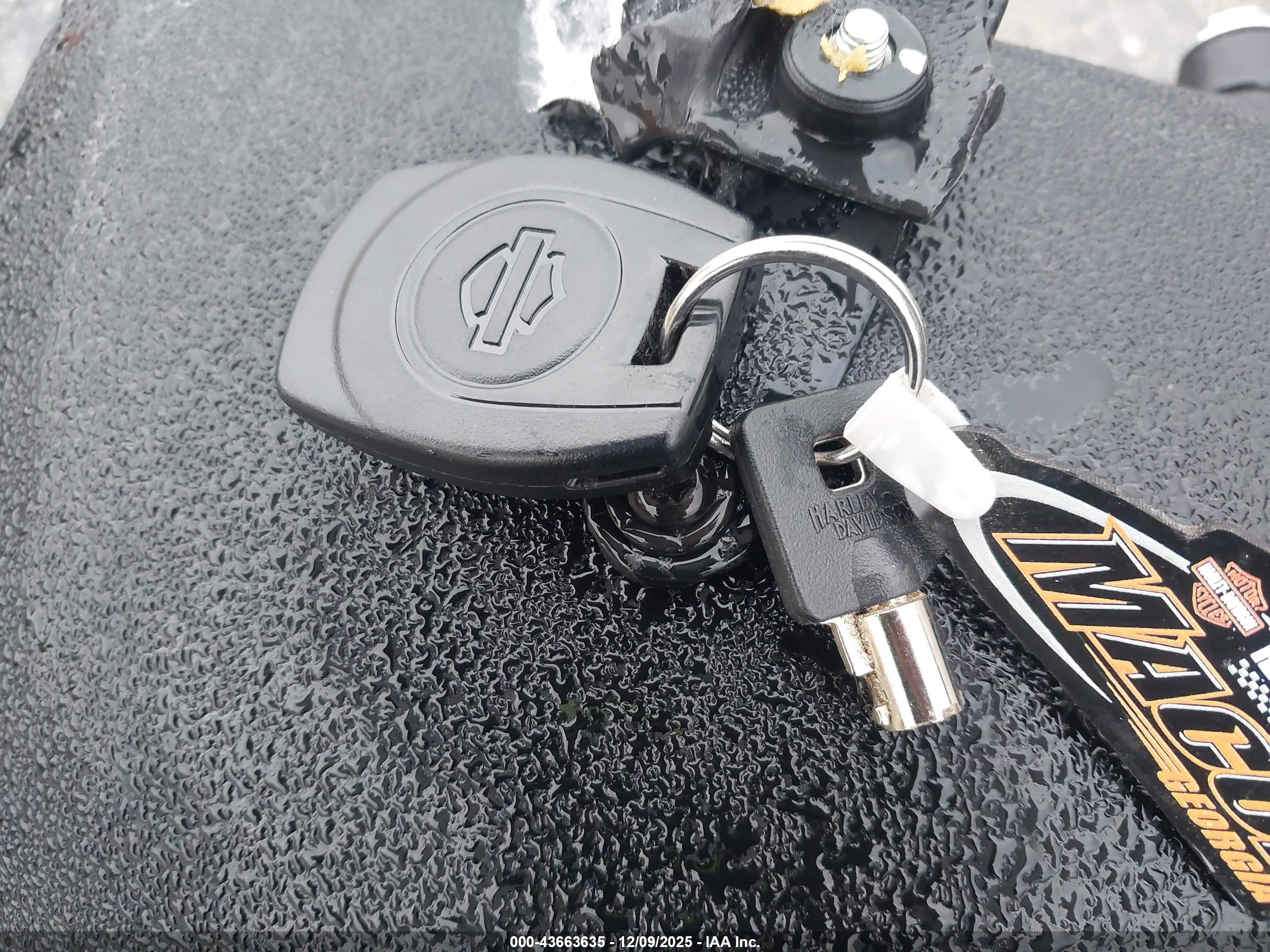 HARLEY-DAVIDSON FLHXU image 11