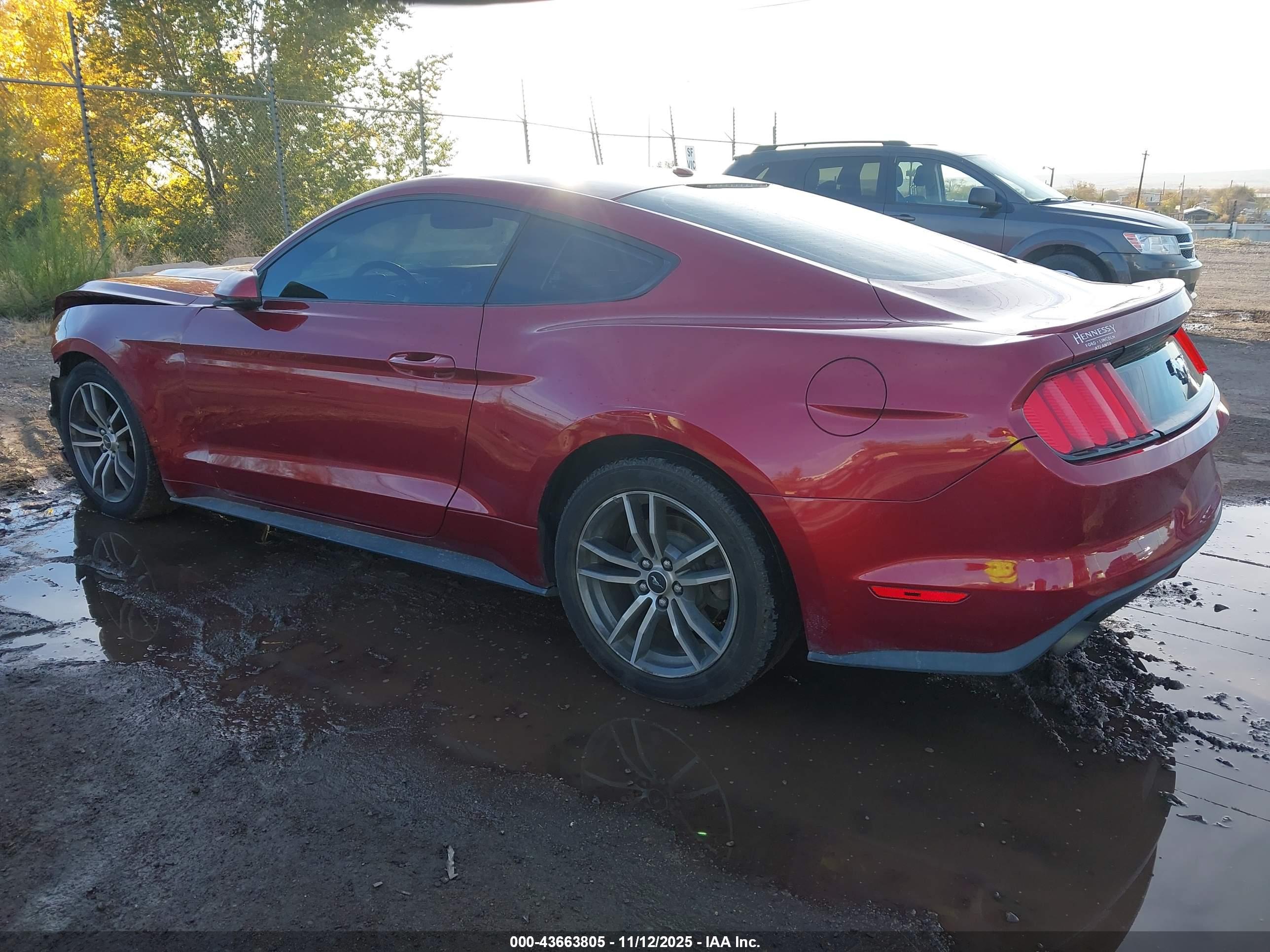 FORD MUSTANG image 3