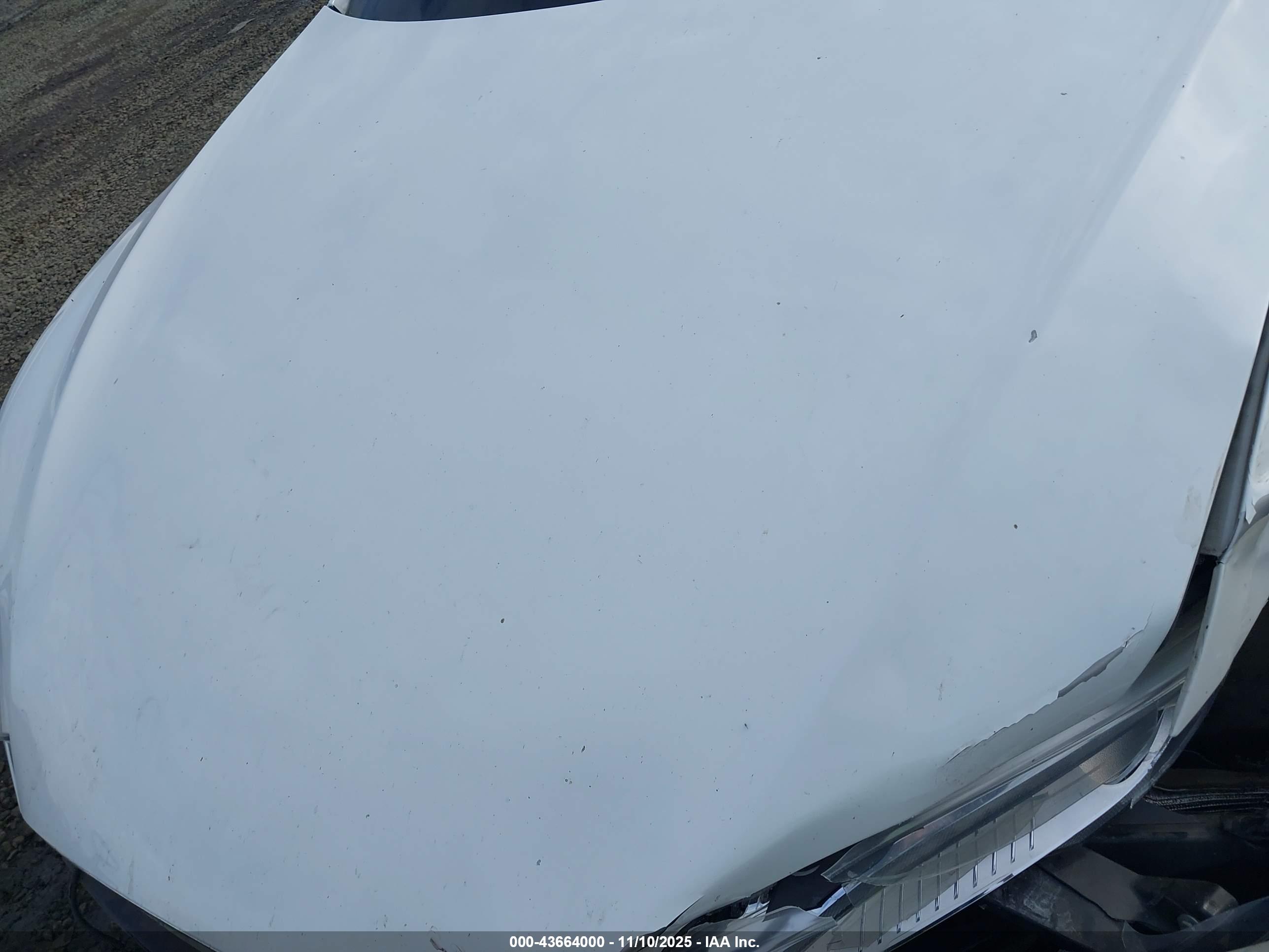 TESLA MODEL image 10