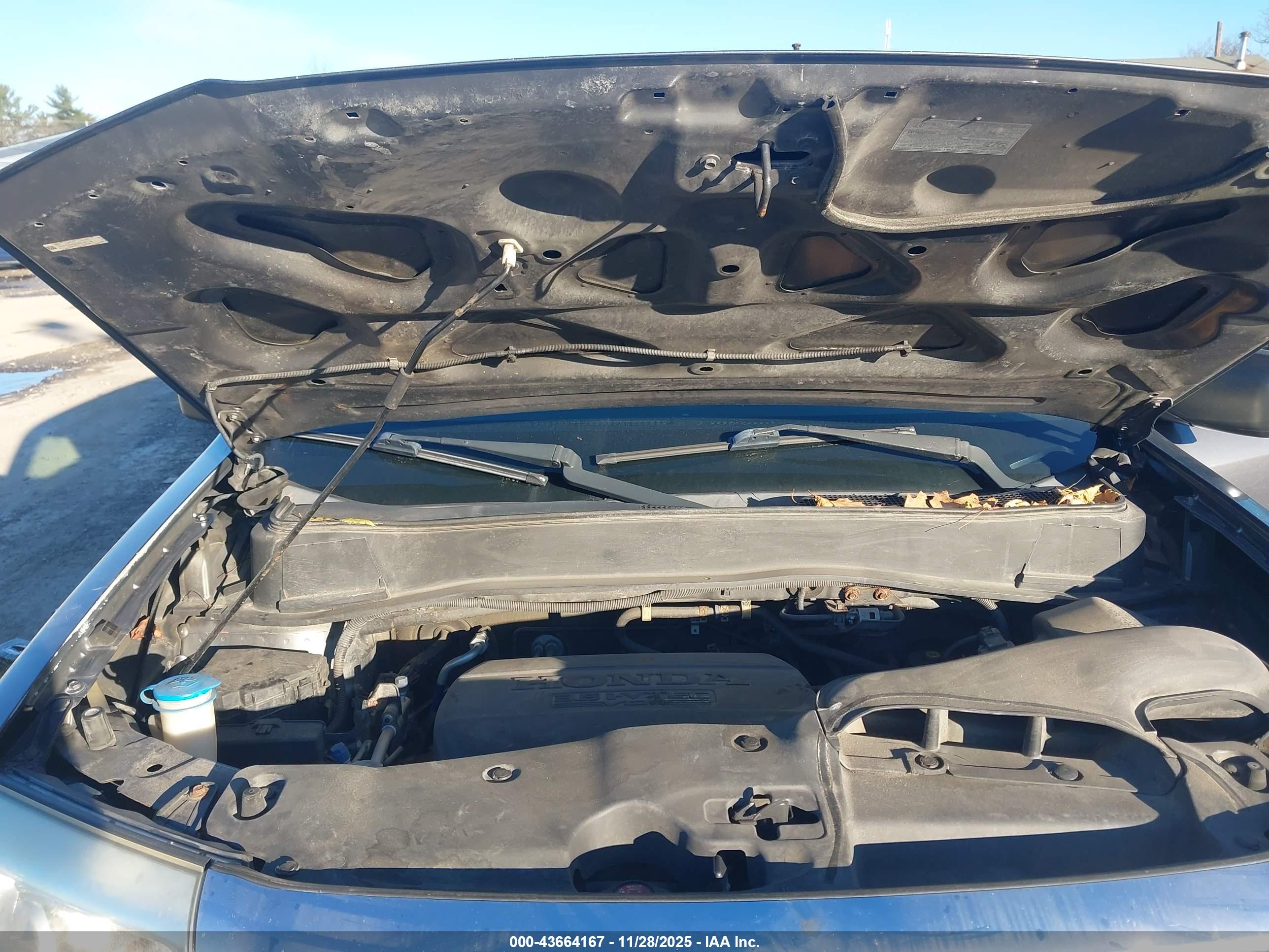 HONDA PILOT image 10