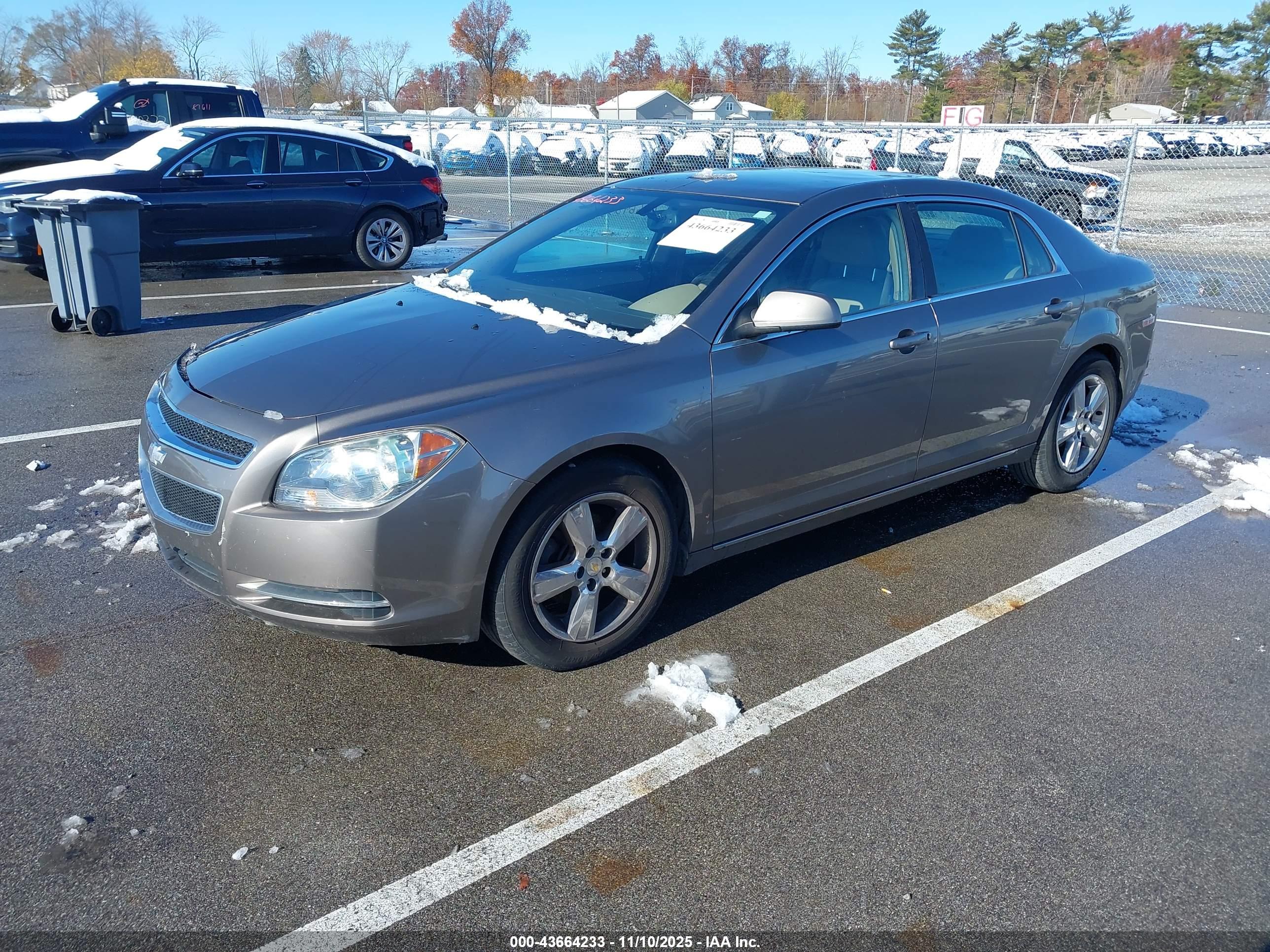 CHEVROLET MALIBU image 2