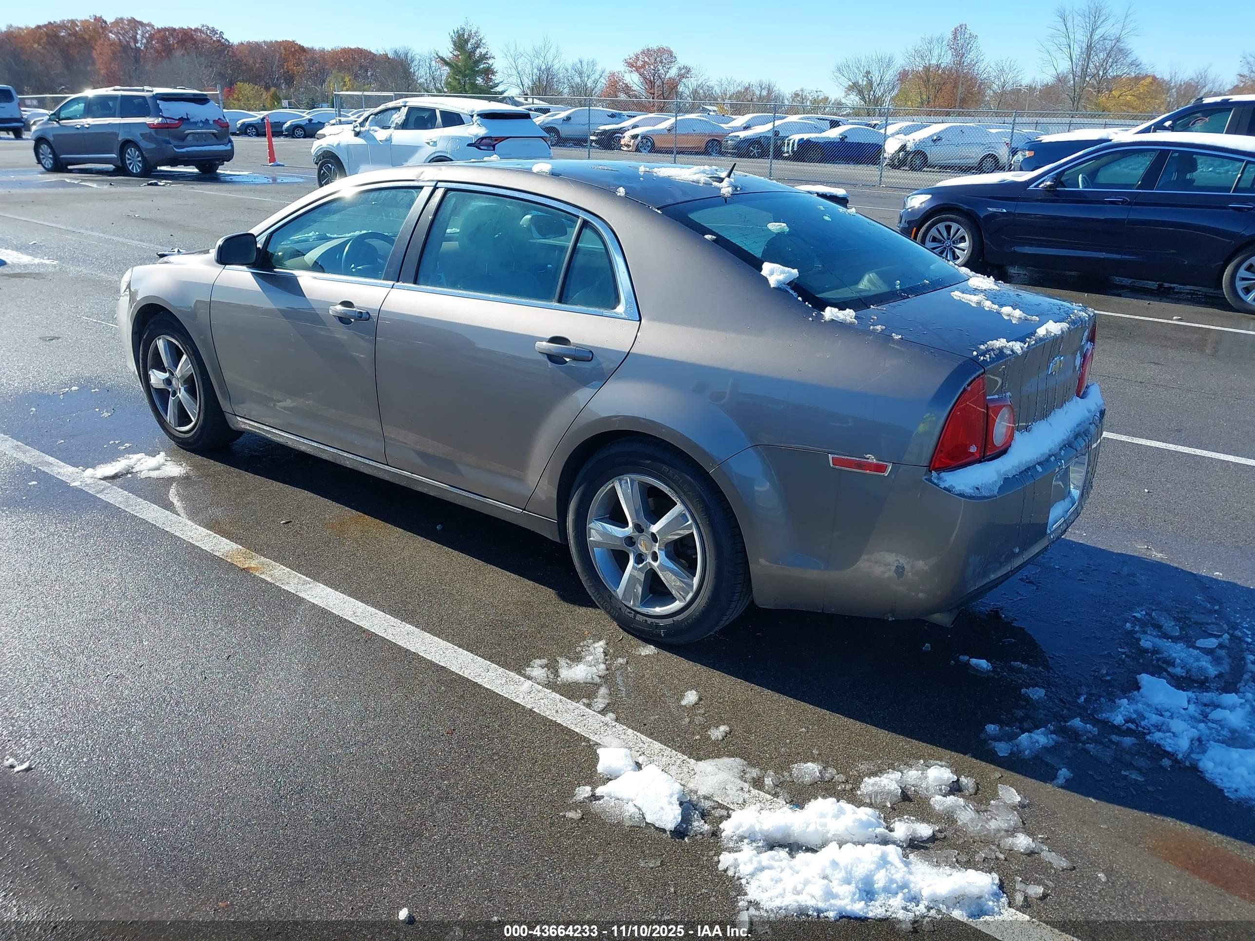 CHEVROLET MALIBU image 3