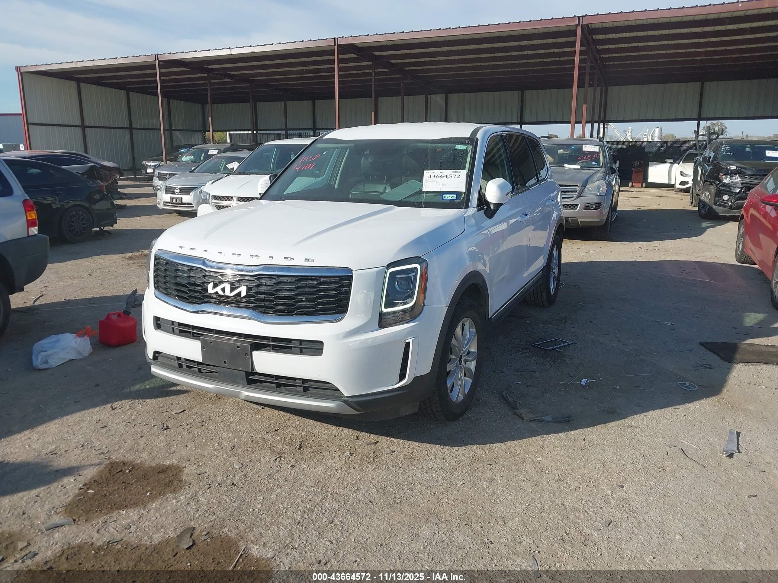 KIA TELLURIDE image 2