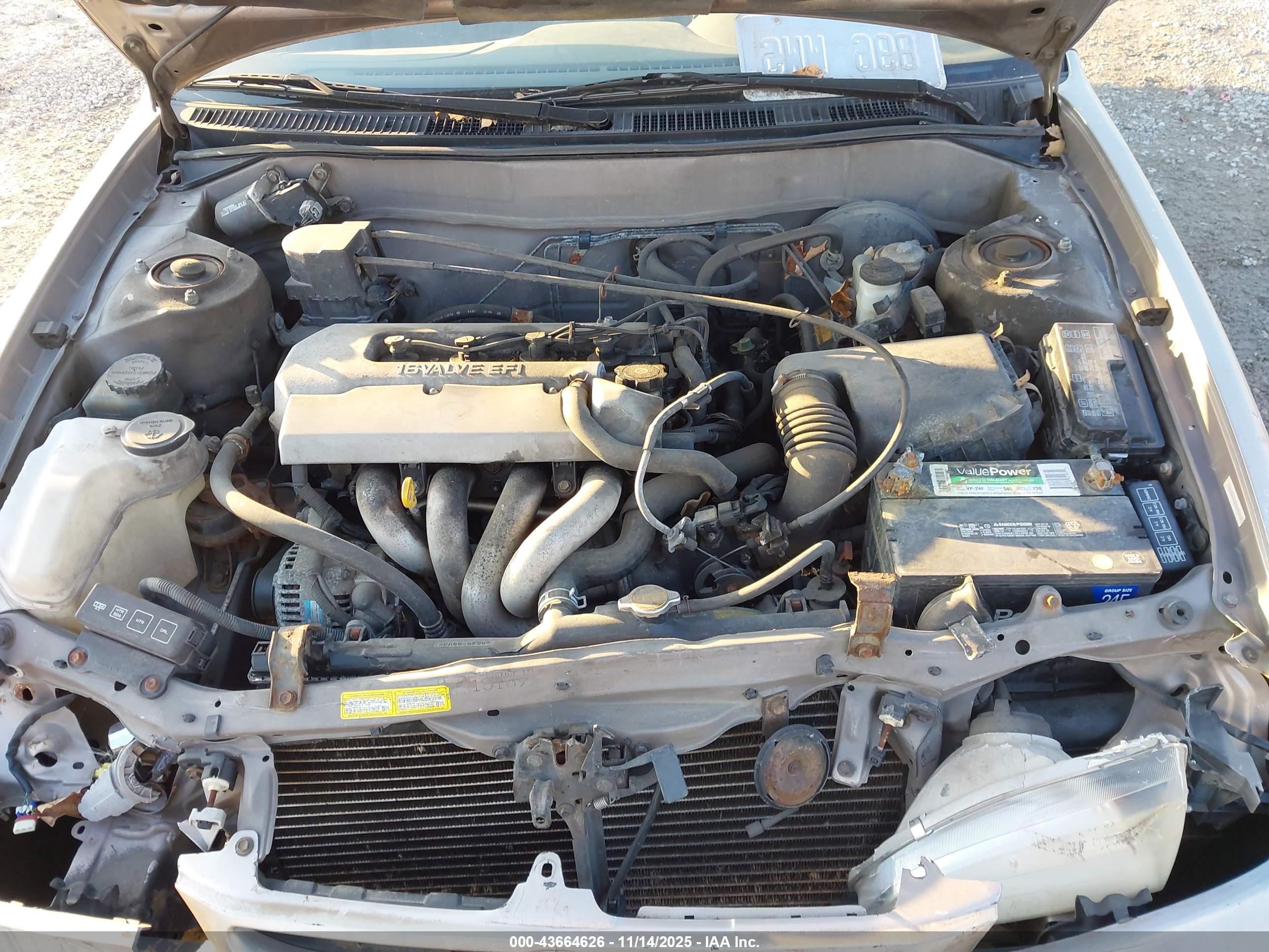 TOYOTA COROLLA image 10