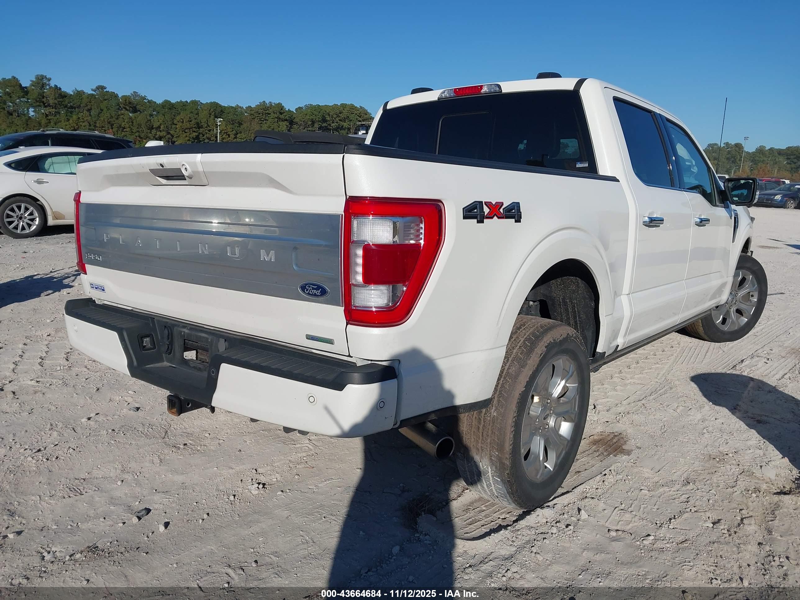 FORD F-150 image 4