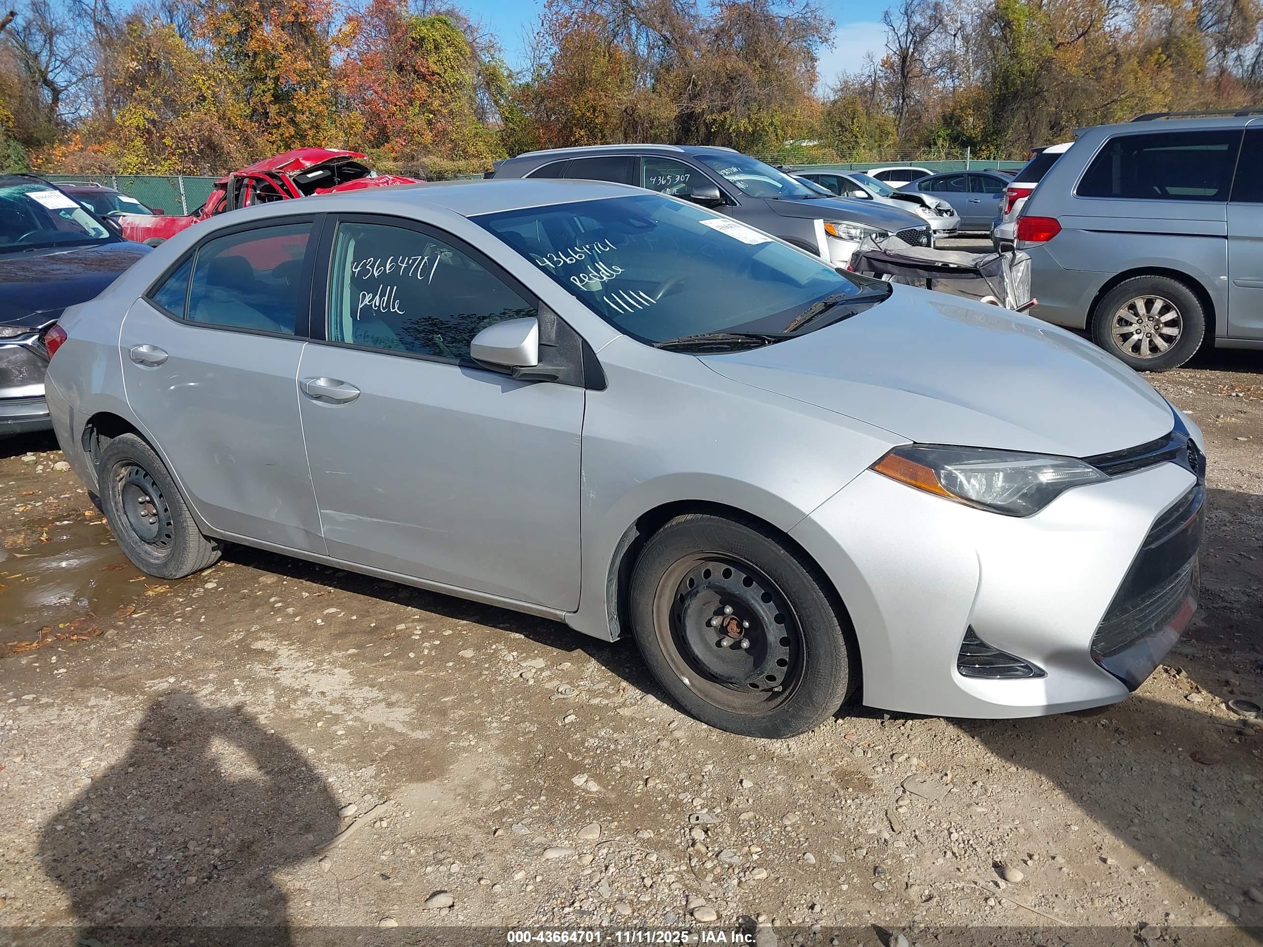 TOYOTA COROLLA image 6