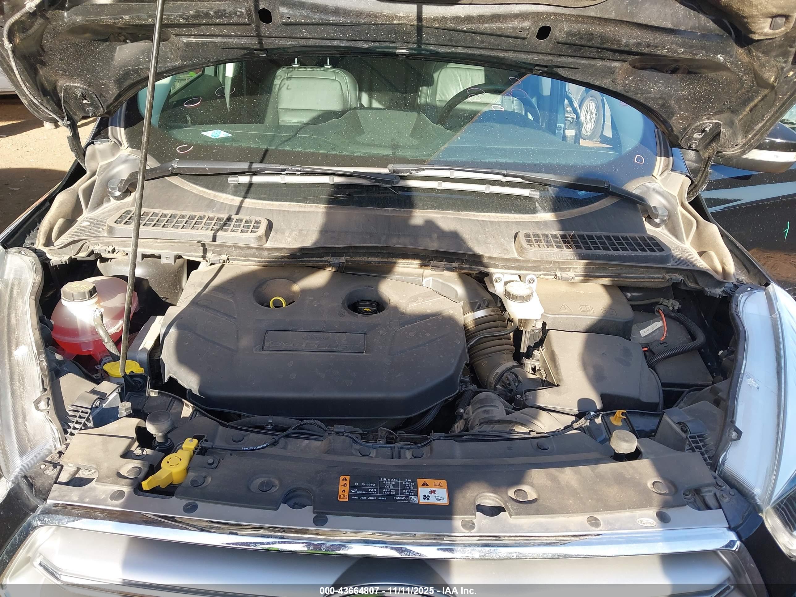 FORD ESCAPE image 10