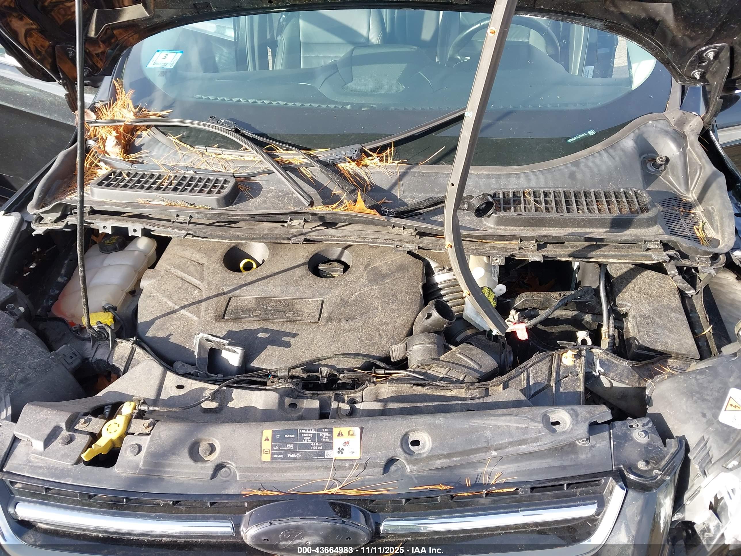 FORD ESCAPE image 10