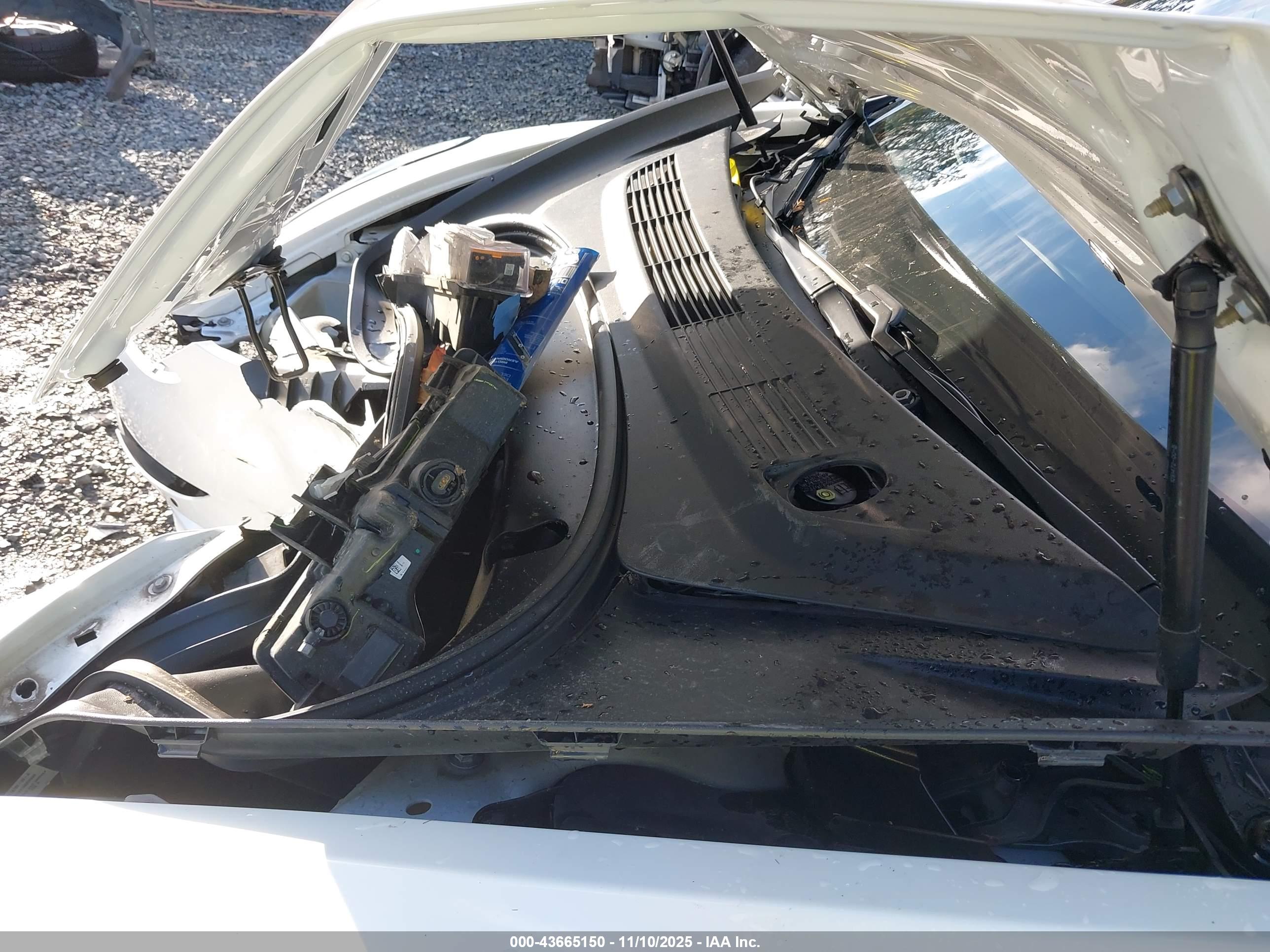 TESLA MODEL image 10