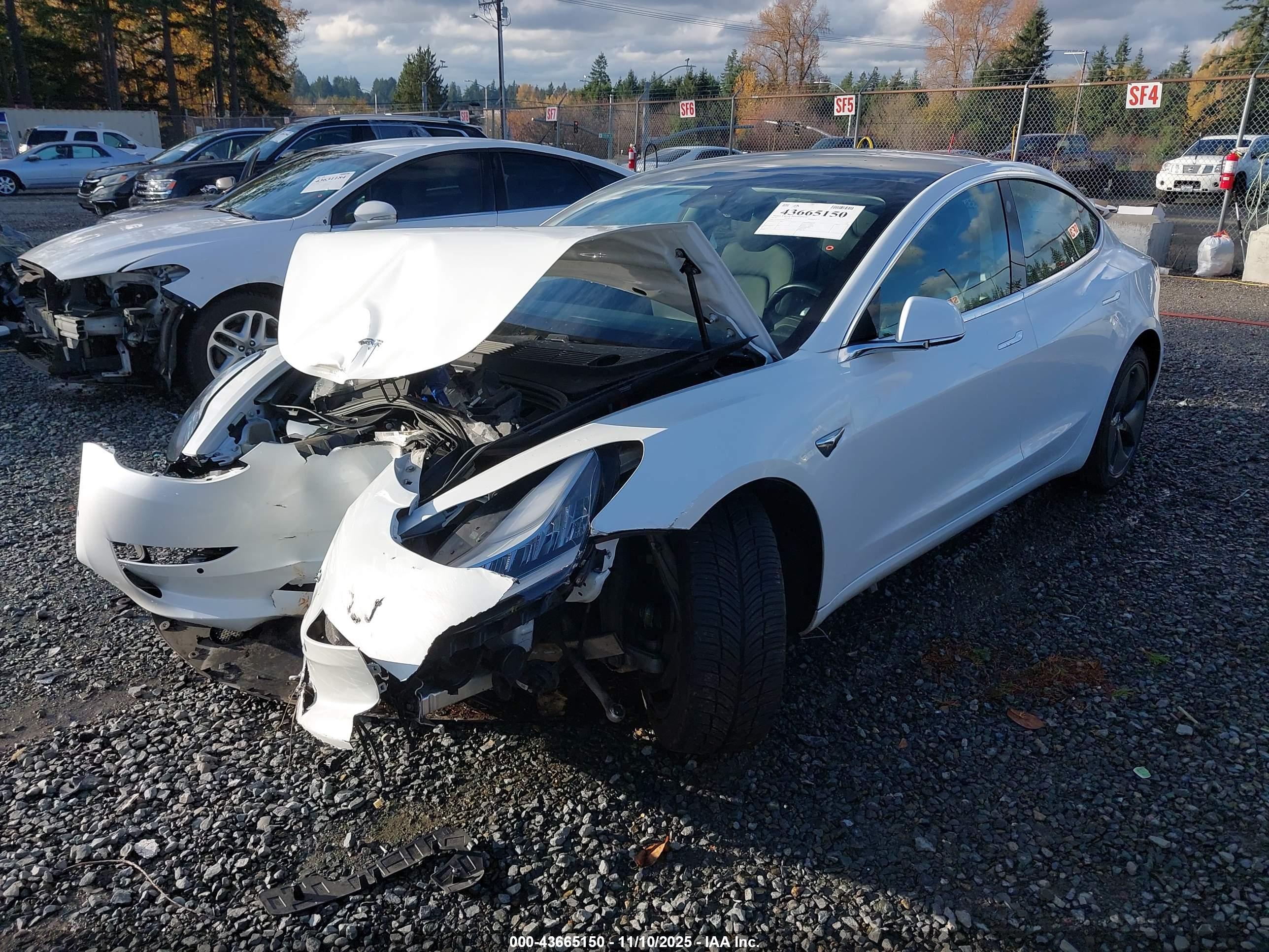 TESLA MODEL image 2