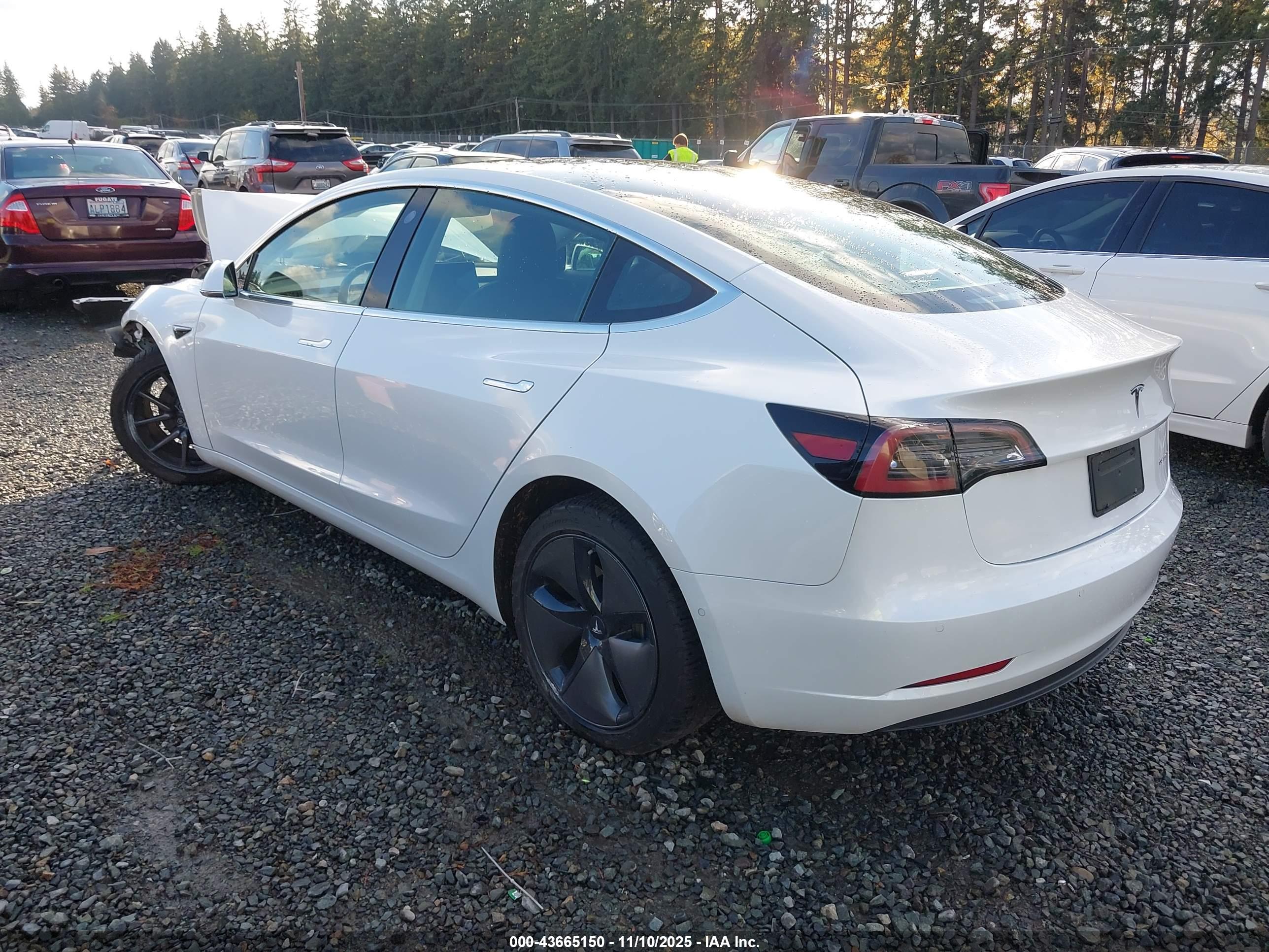 TESLA MODEL image 3