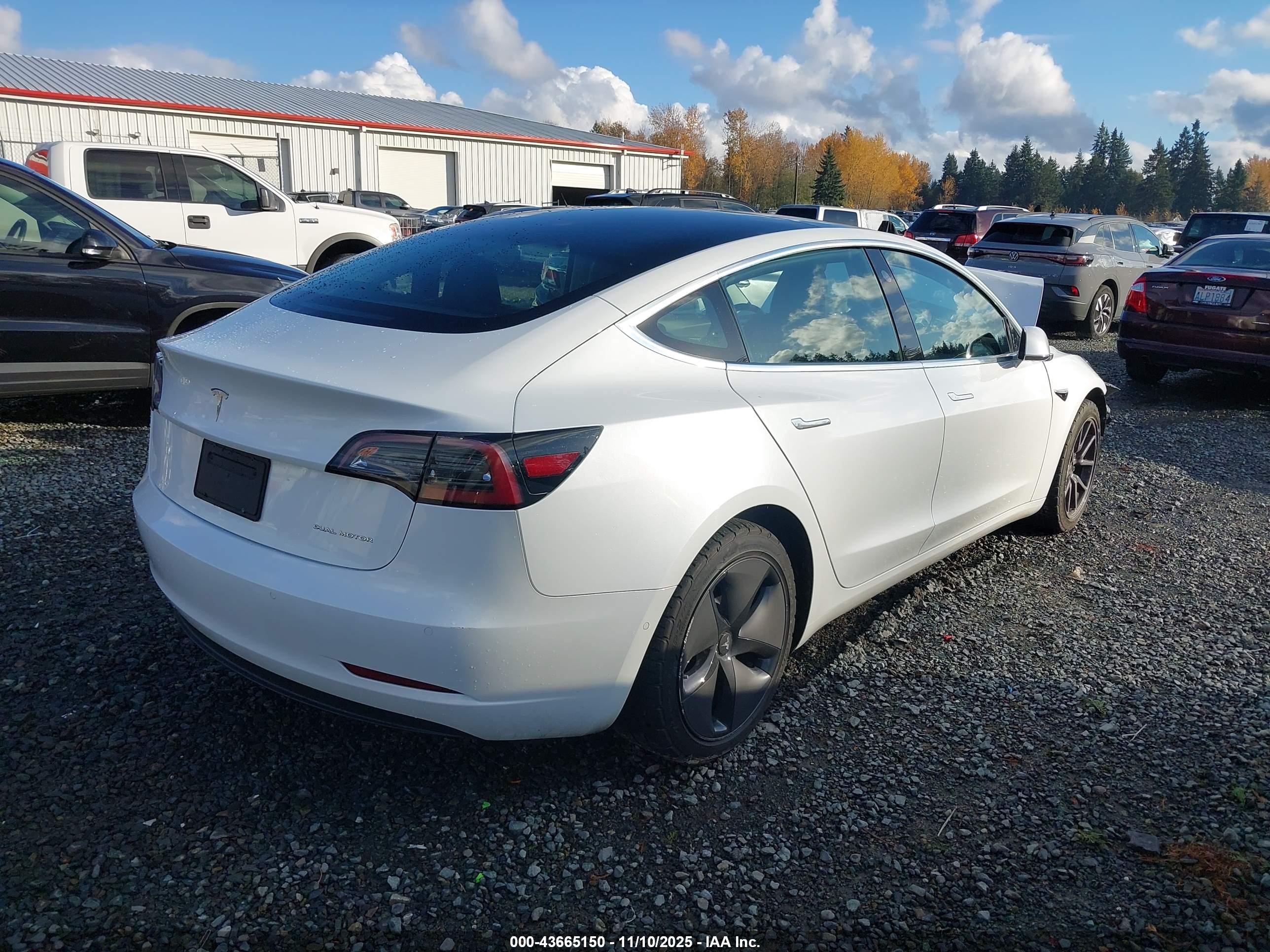 TESLA MODEL image 4