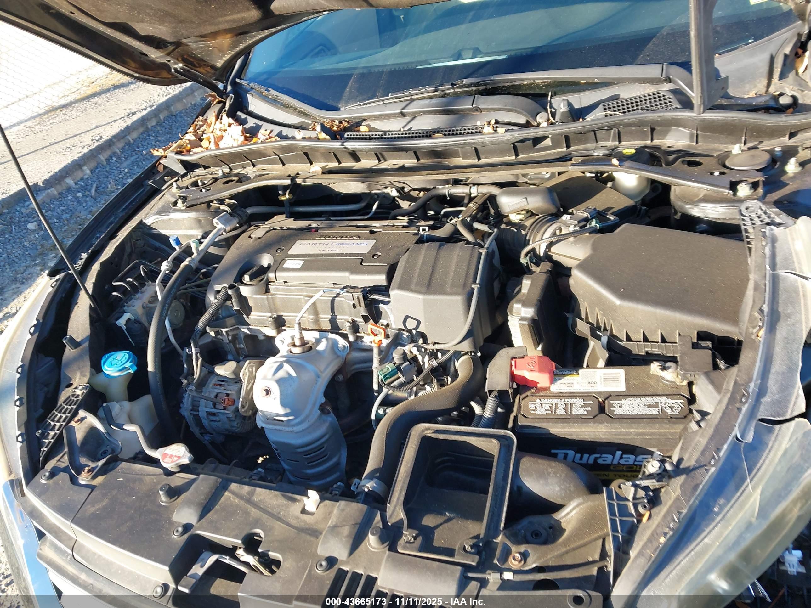 HONDA ACCORD image 10
