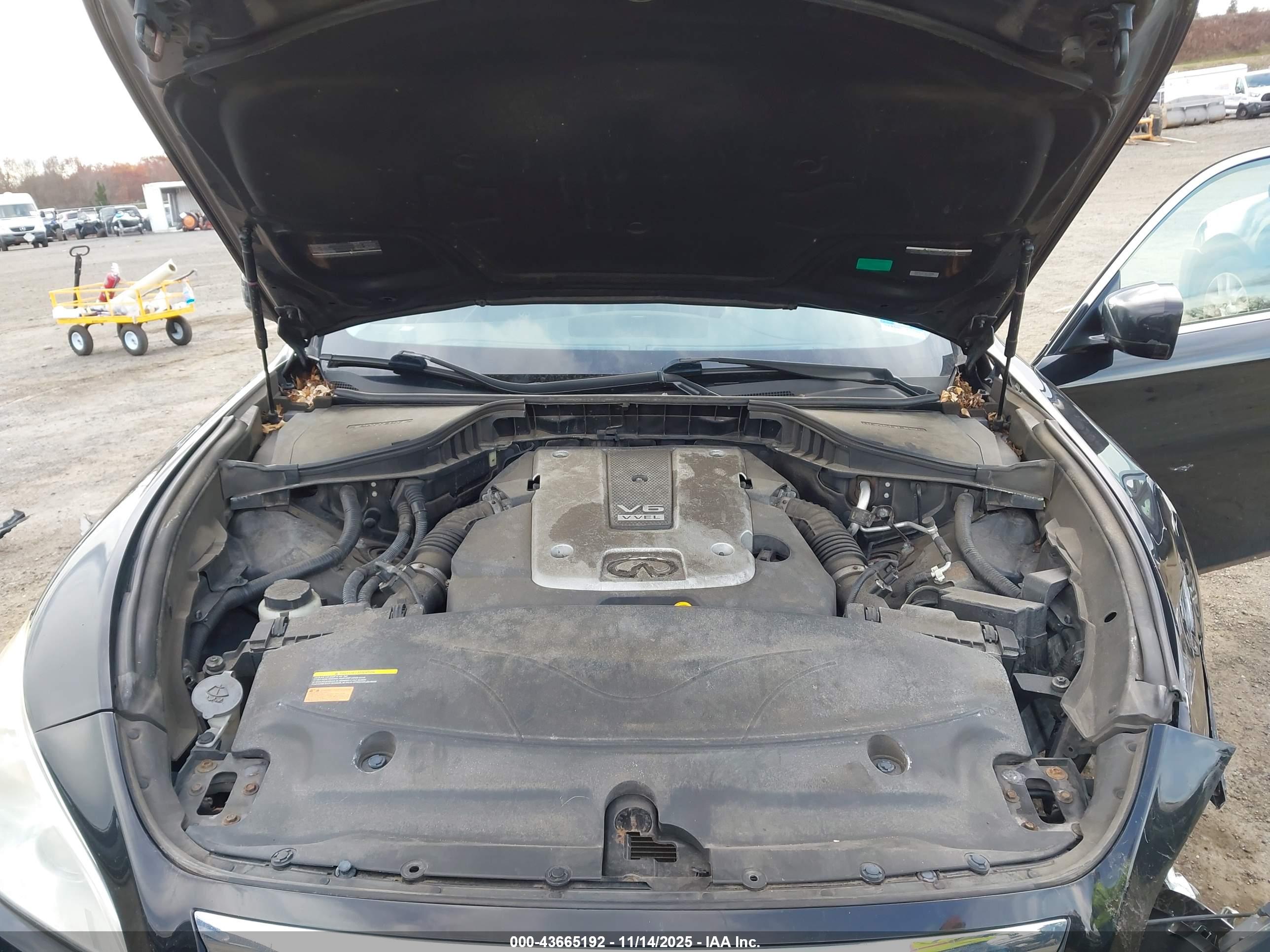 INFINITI M37X image 10