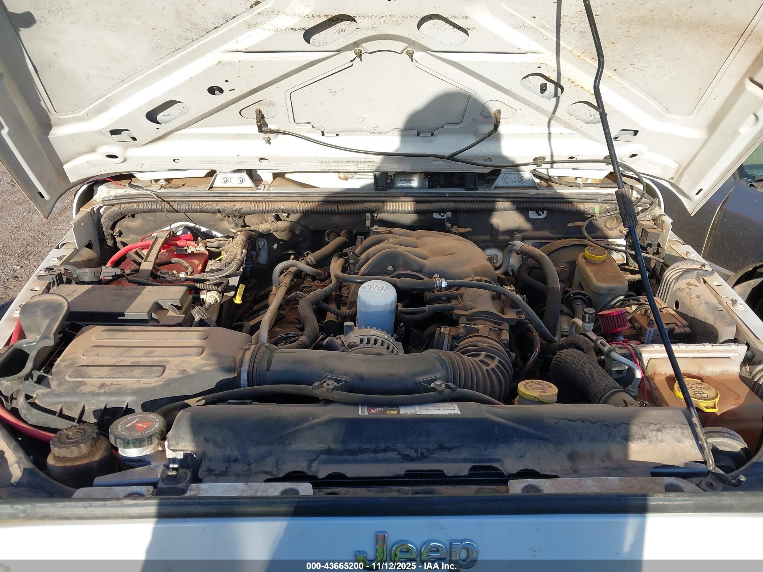 JEEP WRANGLER image 10